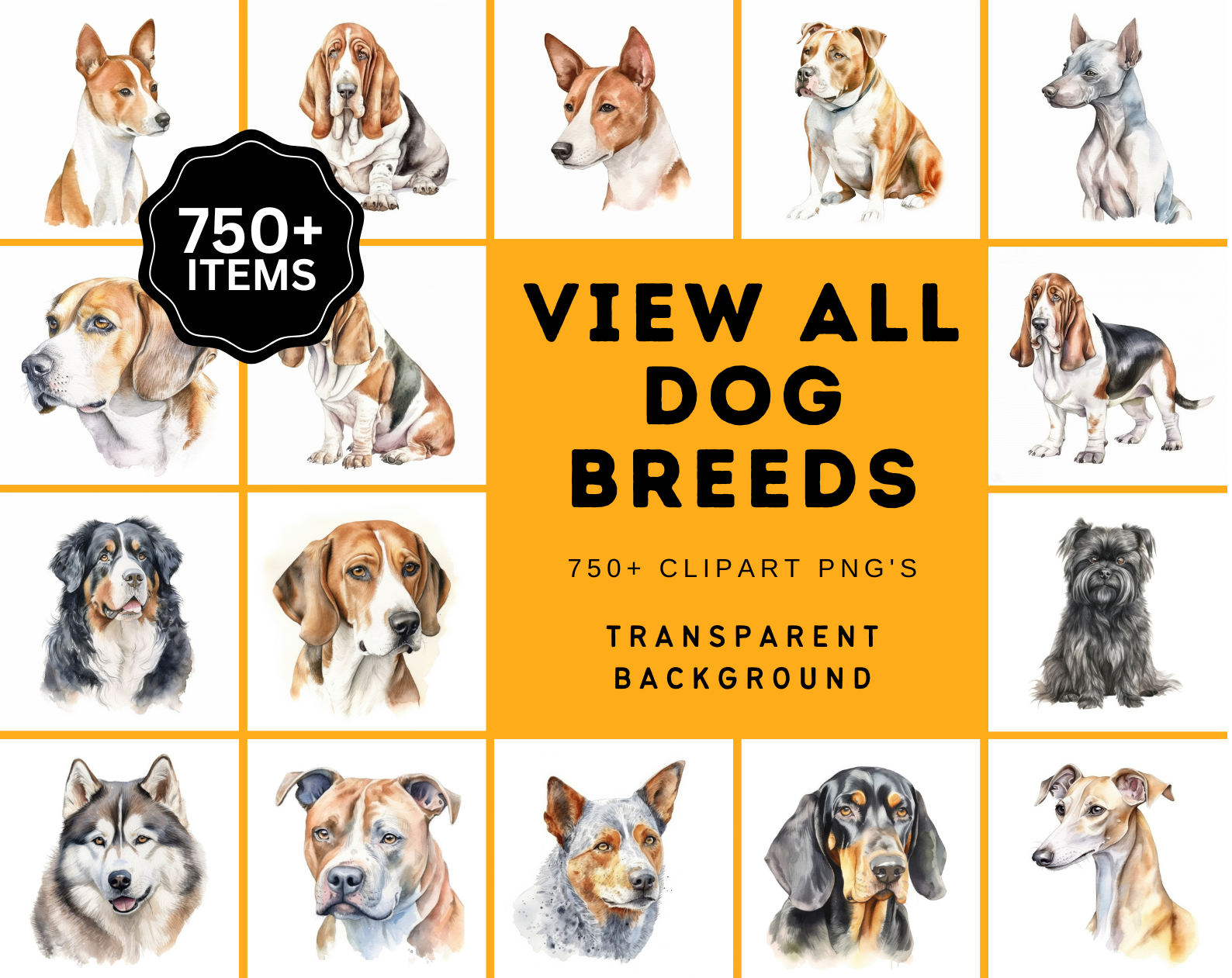 Discover Over 750 Dog Breed Images for Your Next Project