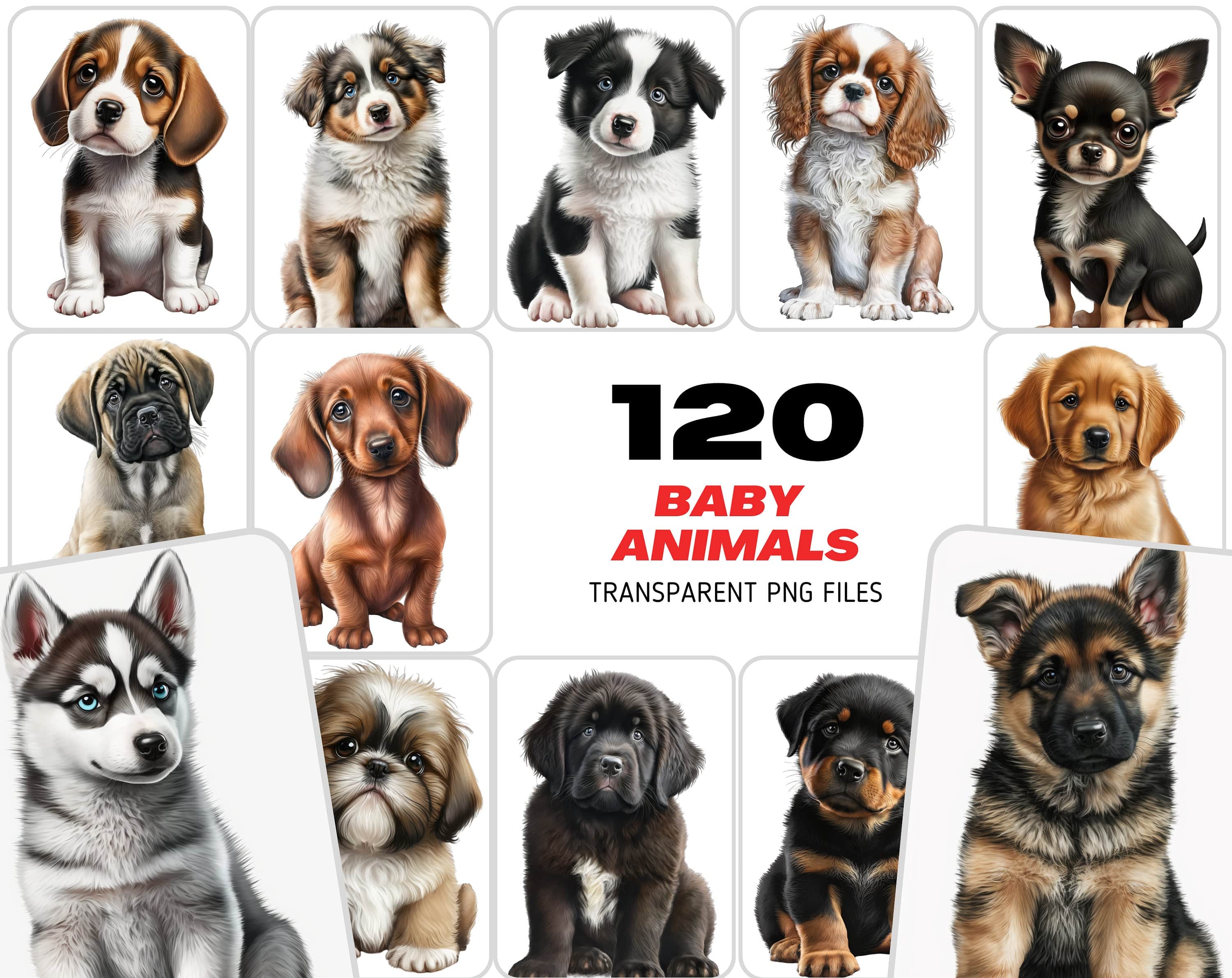 120 PNG Sublimation Puppies, Transparent PNG with dogs, PNG Photoshop Dogs Overlays, Dogs Overlay, Puppy Png, Animals Png, Commercial Digital Download Sumobundle