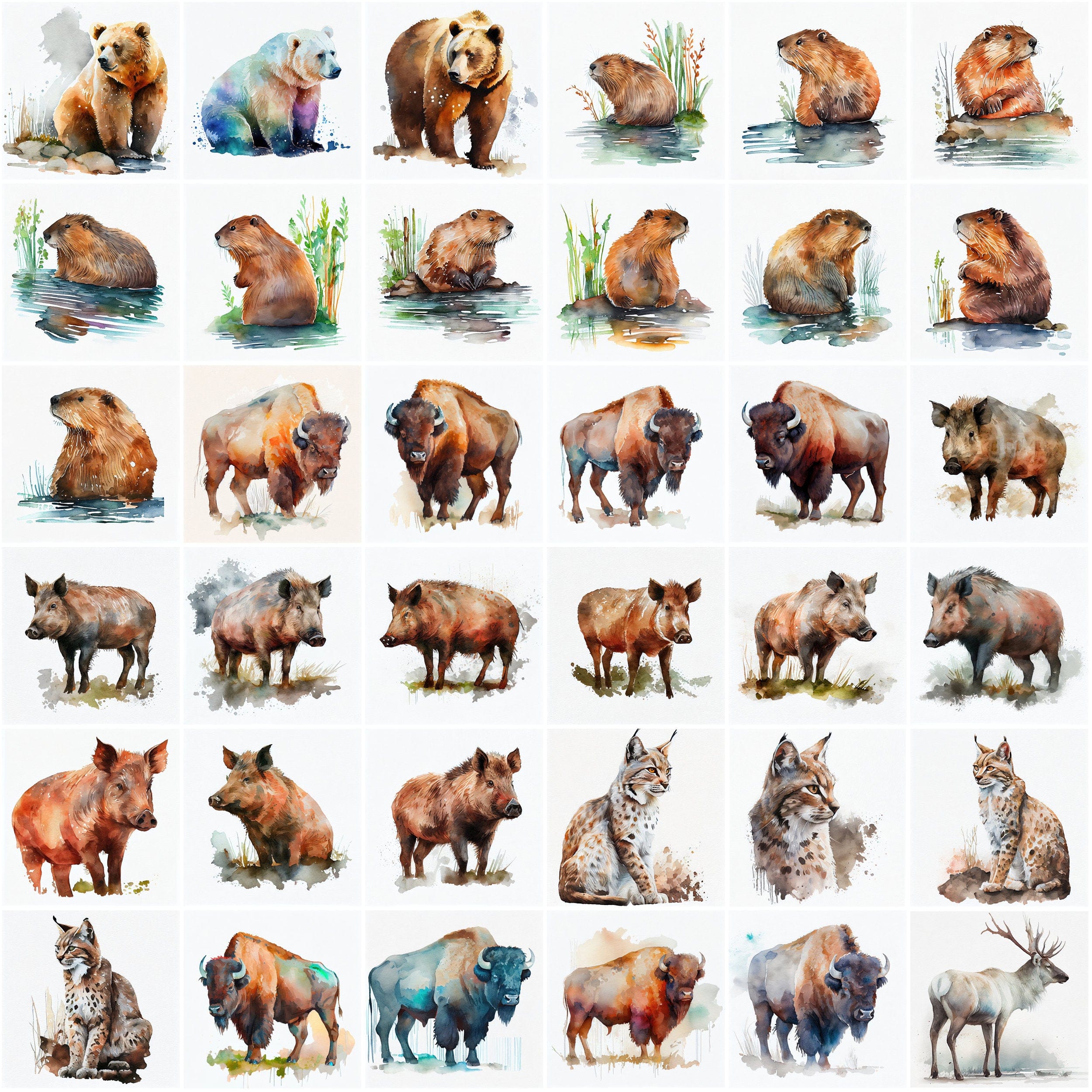 290 Watercolor Animal Images Perfect for DIY Crafts, Projects and Sublimation, Transparent Watercolor Animals, PNG animals, Clipart animals Digital Download Sumobundle