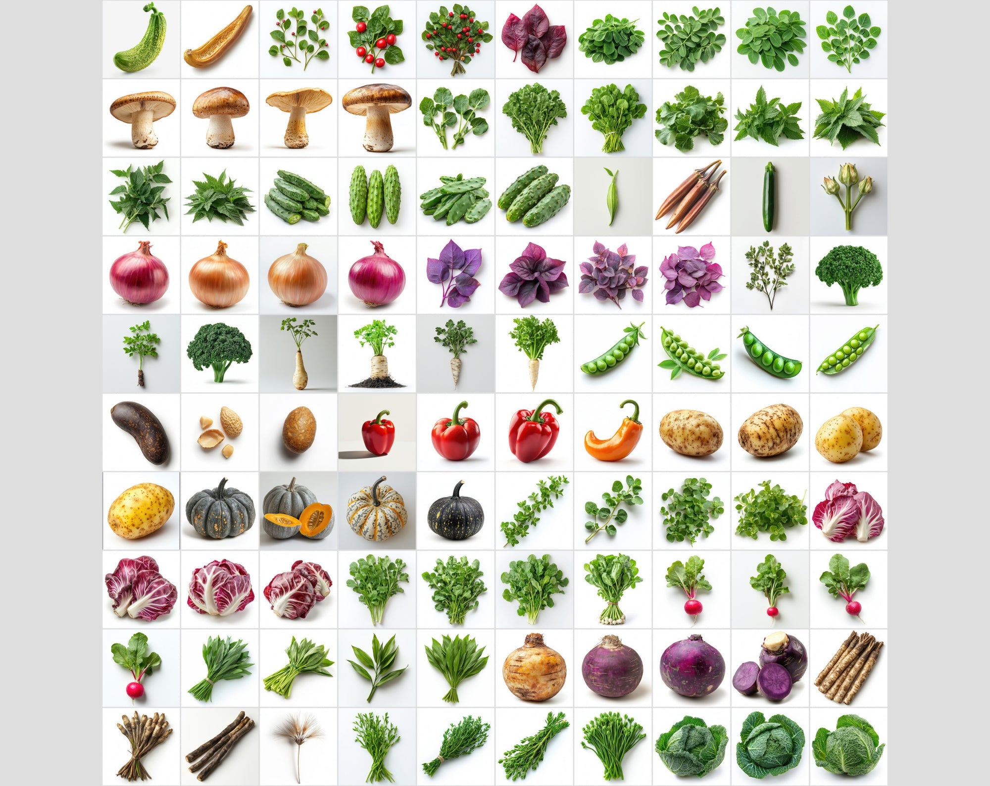 3500 High-Res Isolated Images | Food, Tech, Travel & More