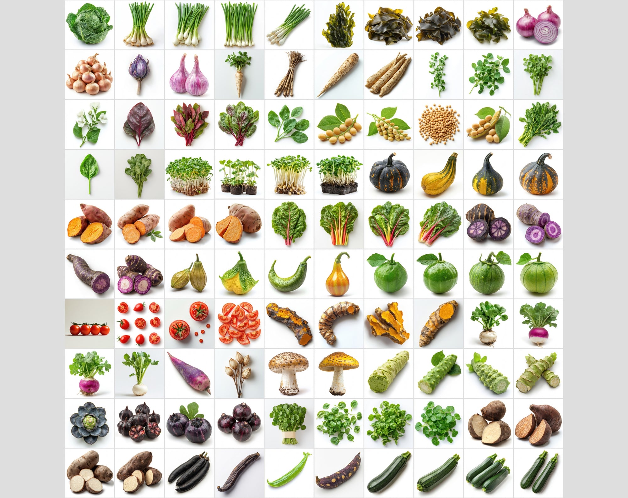 3500 High-Res Isolated Images | Food, Tech, Travel & More