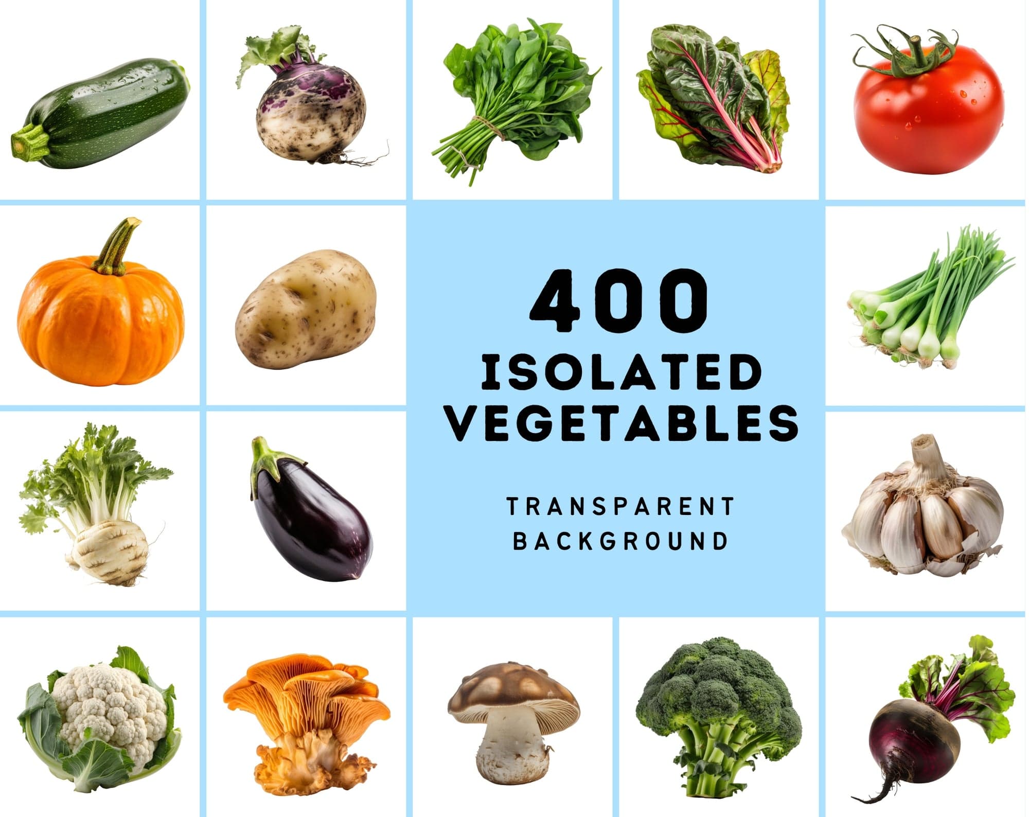 400 Isolated Vegetable Images with Transparent Background Digital Download Sumobundle