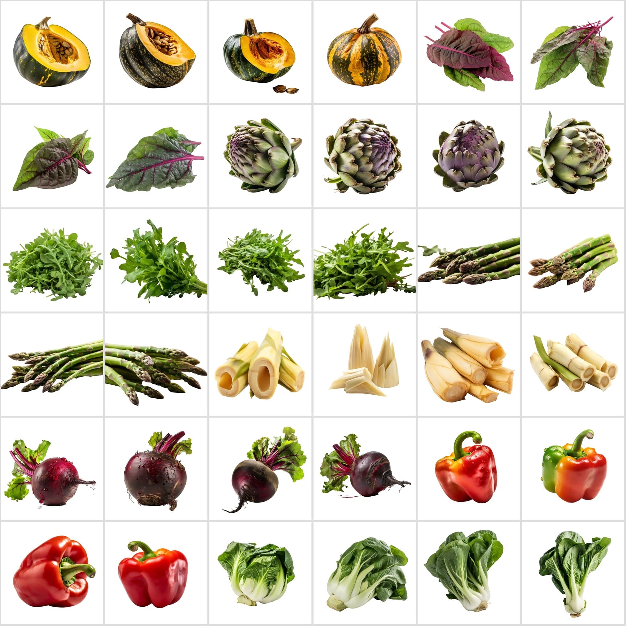 400 Isolated Vegetable Images with Transparent Background Digital Download Sumobundle