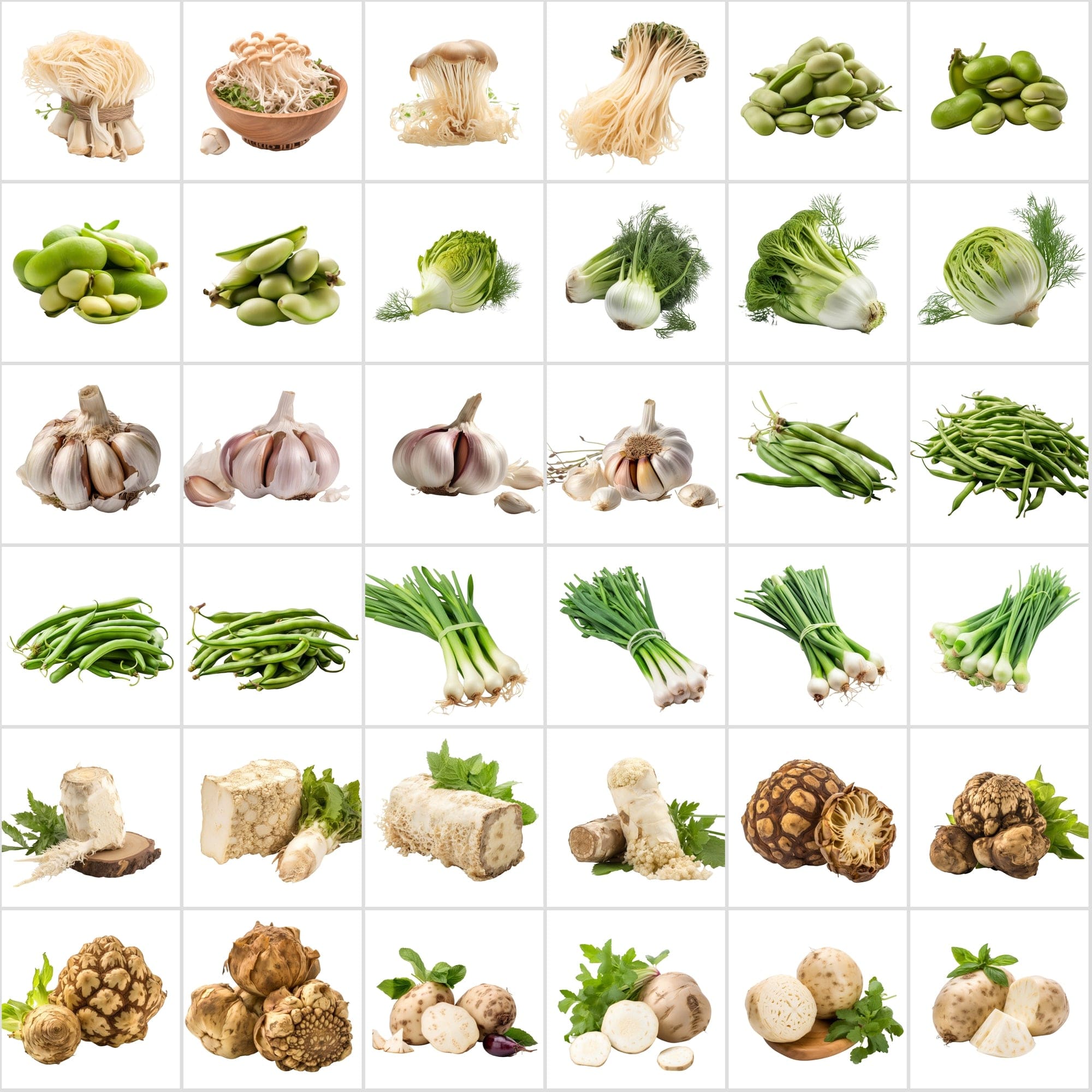 400 Isolated Vegetable Images with Transparent Background Digital Download Sumobundle