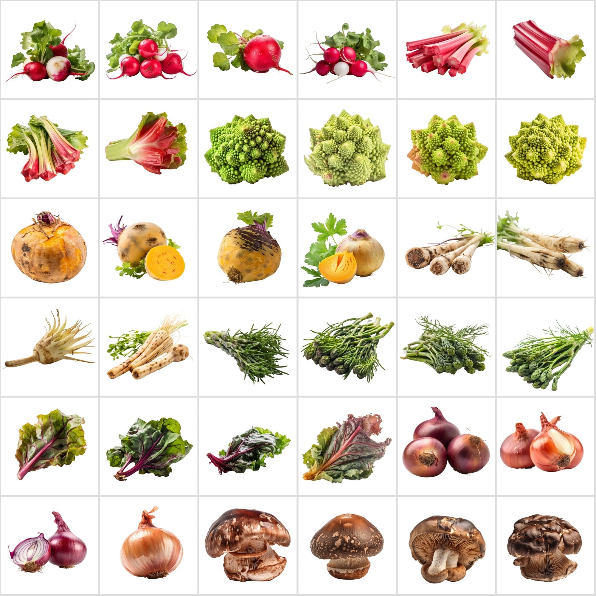 400 Isolated Vegetable Images with Transparent Background Digital Download Sumobundle