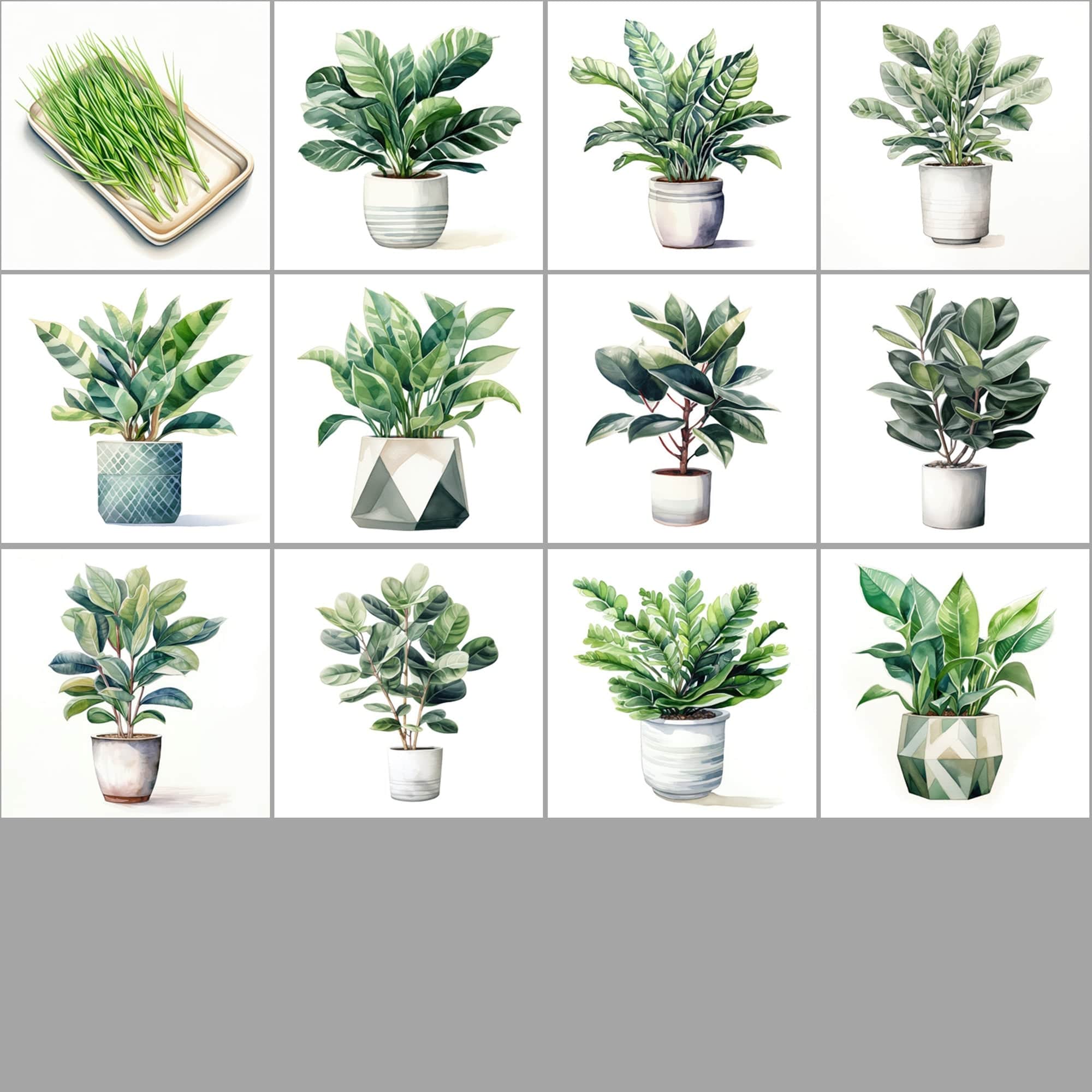 550 Watercolor Plant & Fruit Pot Images - Vibrant PNG Cliparts with Transparent and White Backgrounds Digital Download Sumobundle
