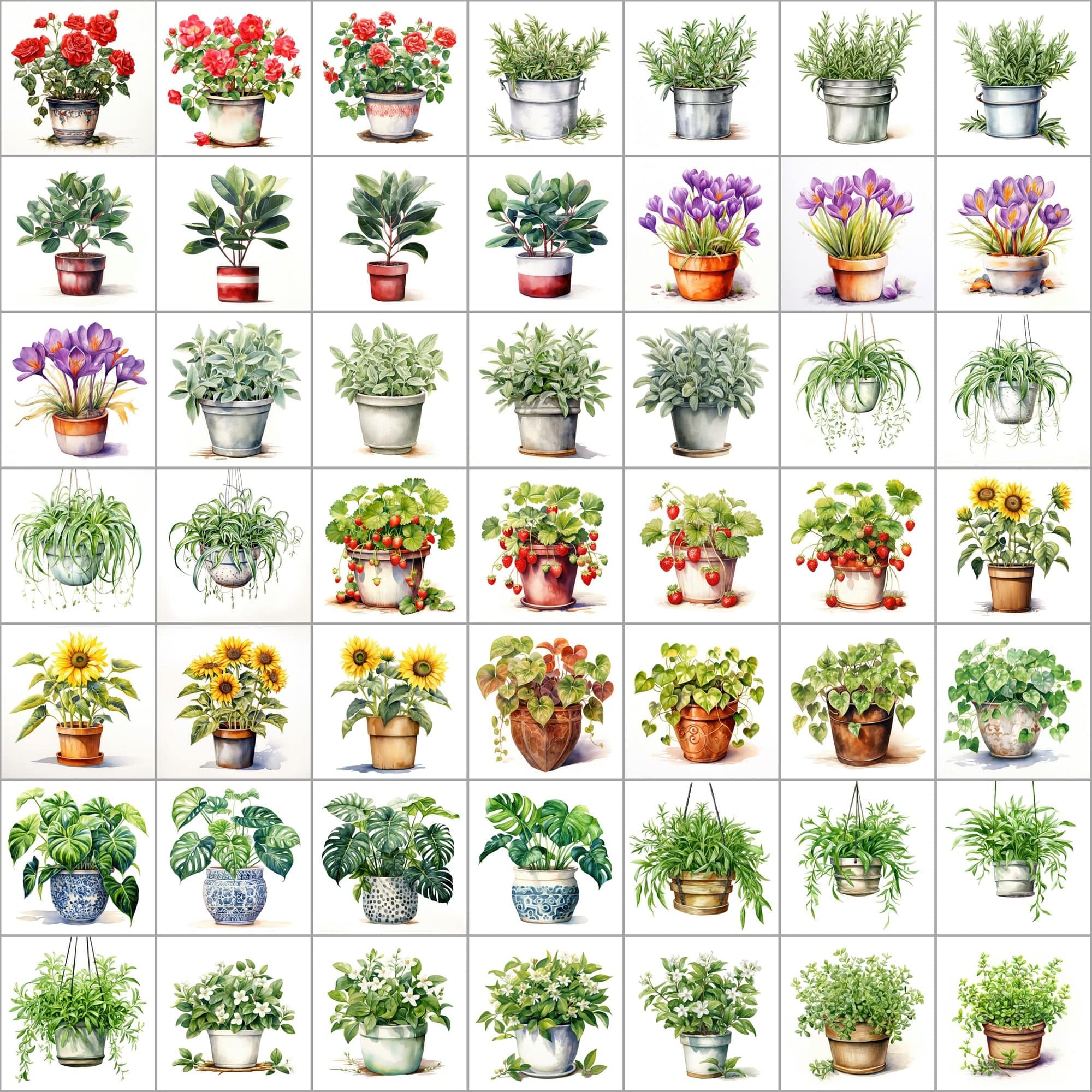 550 Watercolor Plant & Fruit Pot Images - Vibrant PNG Cliparts with Transparent and White Backgrounds Digital Download Sumobundle
