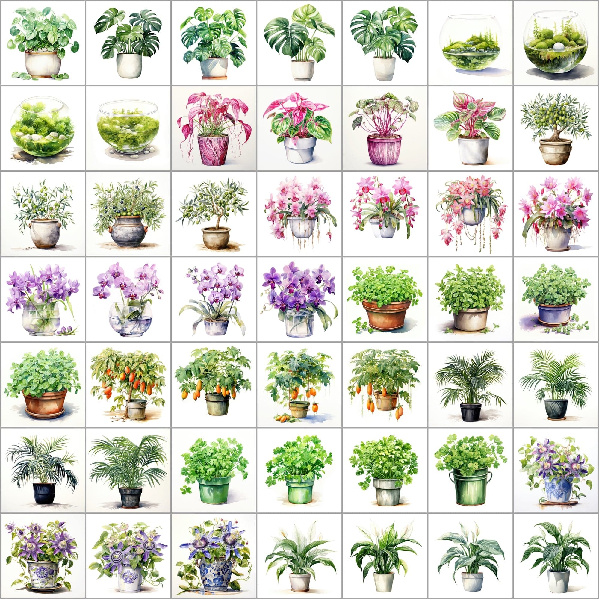 550 Watercolor Plant & Fruit Pot Images - Vibrant PNG Cliparts with Transparent and White Backgrounds Digital Download Sumobundle