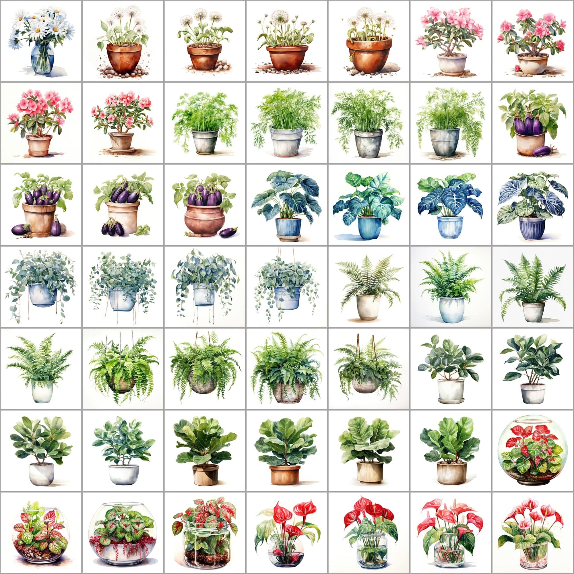 550 Watercolor Plant & Fruit Pot Images - Vibrant PNG Cliparts with Transparent and White Backgrounds Digital Download Sumobundle