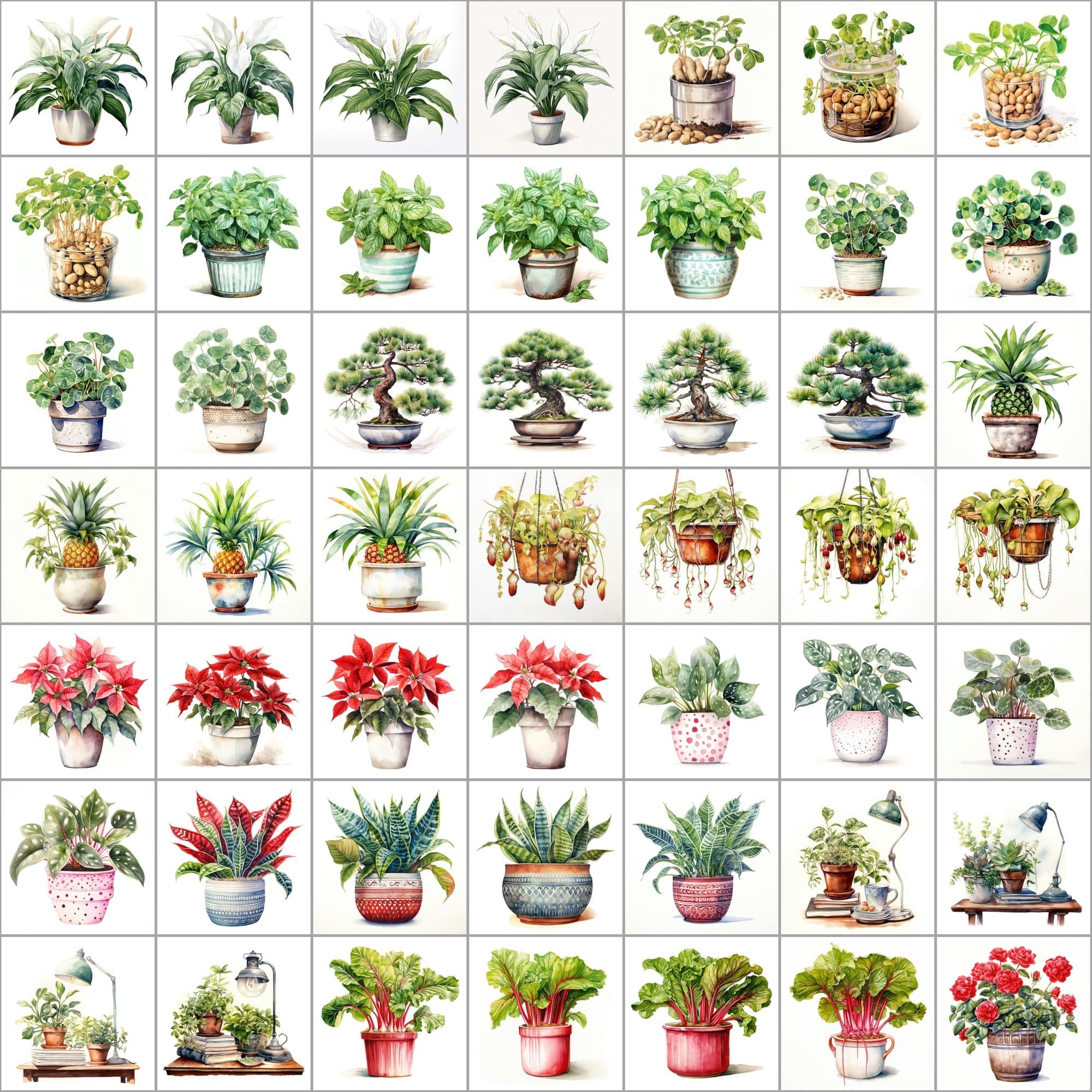 550 Watercolor Plant & Fruit Pot Images - Vibrant PNG Cliparts with Transparent and White Backgrounds Digital Download Sumobundle