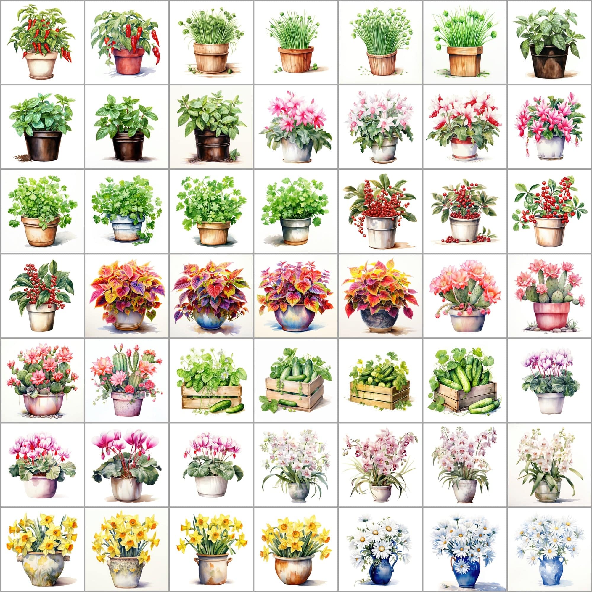 550 Watercolor Plant & Fruit Pot Images - Vibrant PNG Cliparts with Transparent and White Backgrounds Digital Download Sumobundle