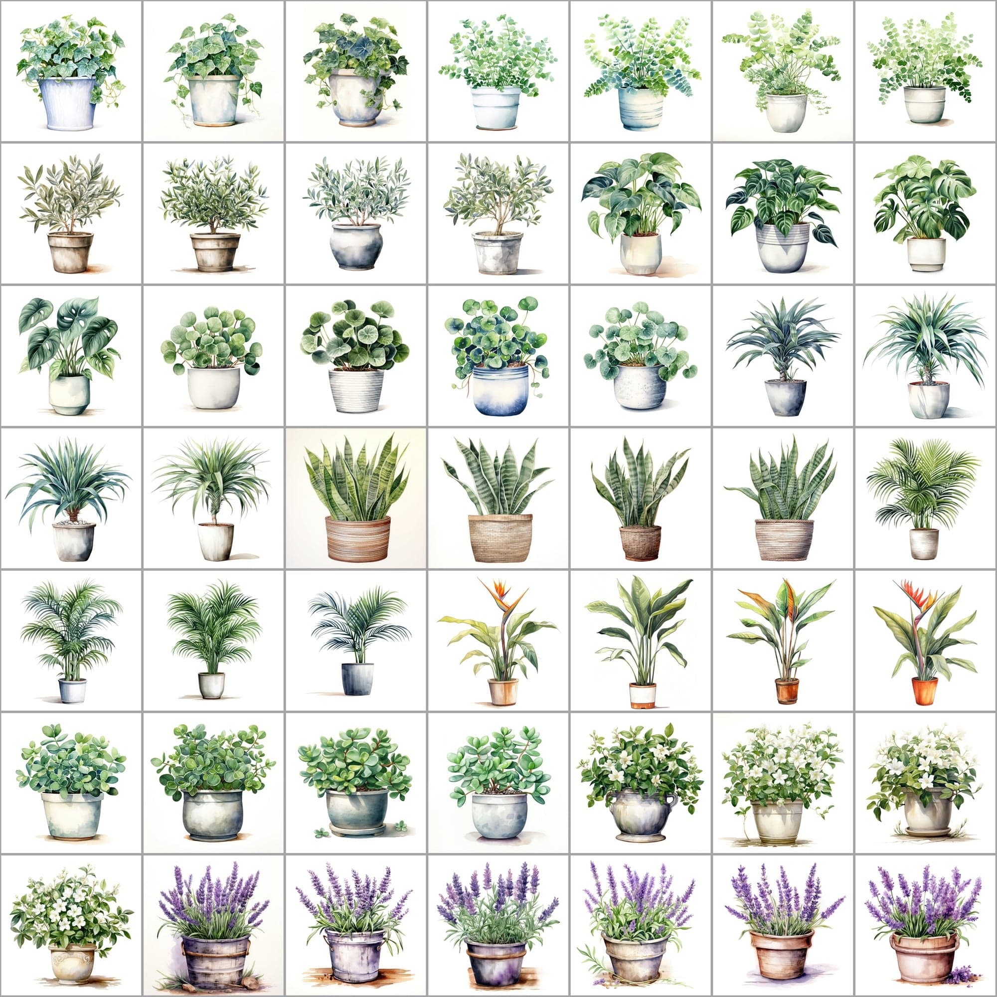 550 Watercolor Plant & Fruit Pot Images - Vibrant PNG Cliparts with Transparent and White Backgrounds Digital Download Sumobundle
