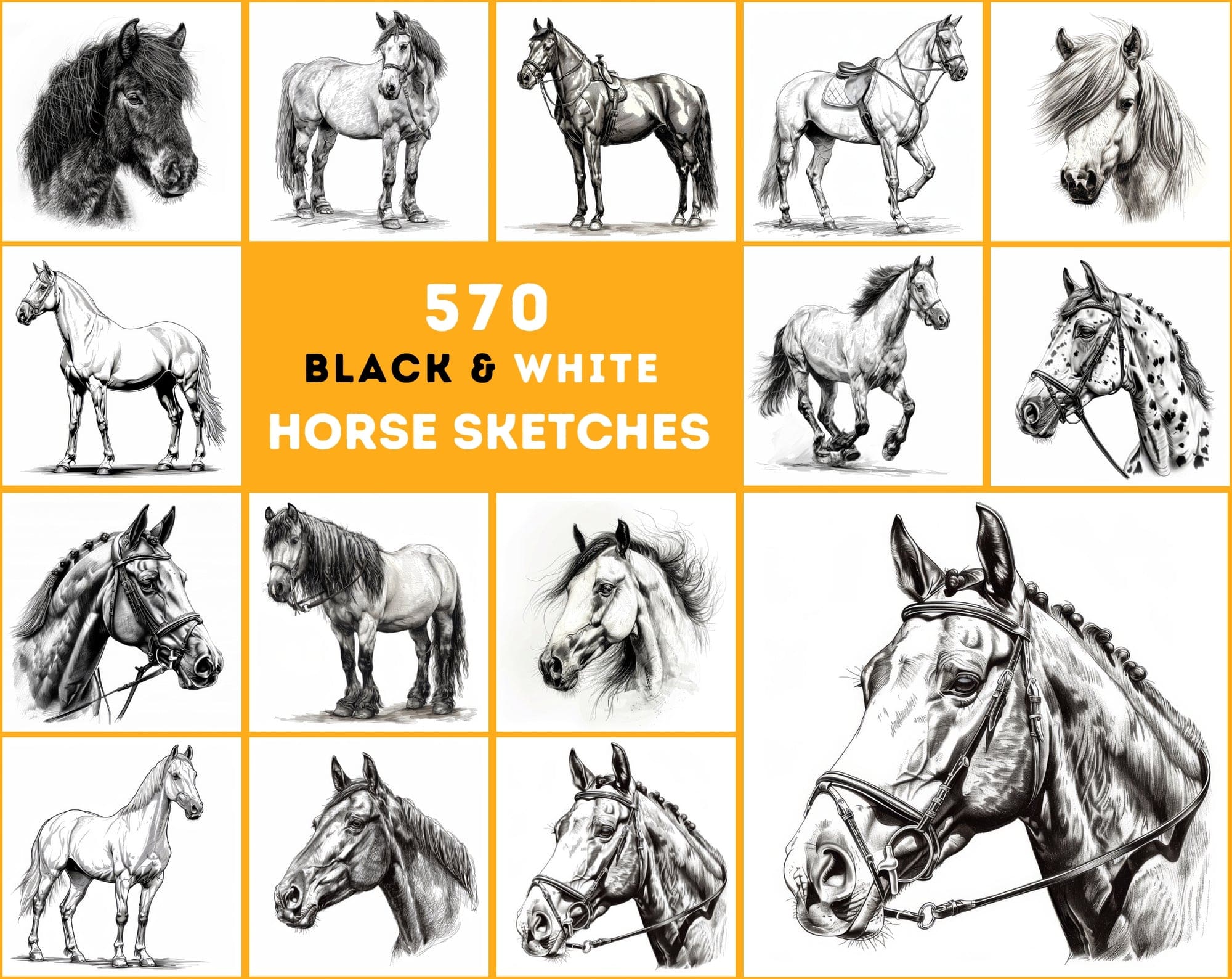 570 Horse Breed Sketches Black & White - Commercial License Digital Download Sumobundle
