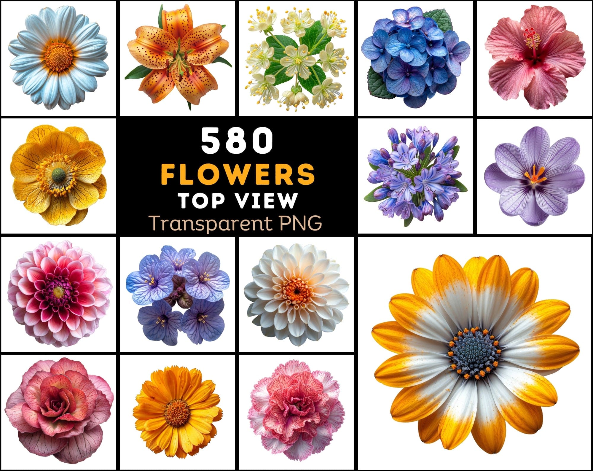 580 Top View Floral Images with Transparent Backgrounds Digital Download Sumobundle