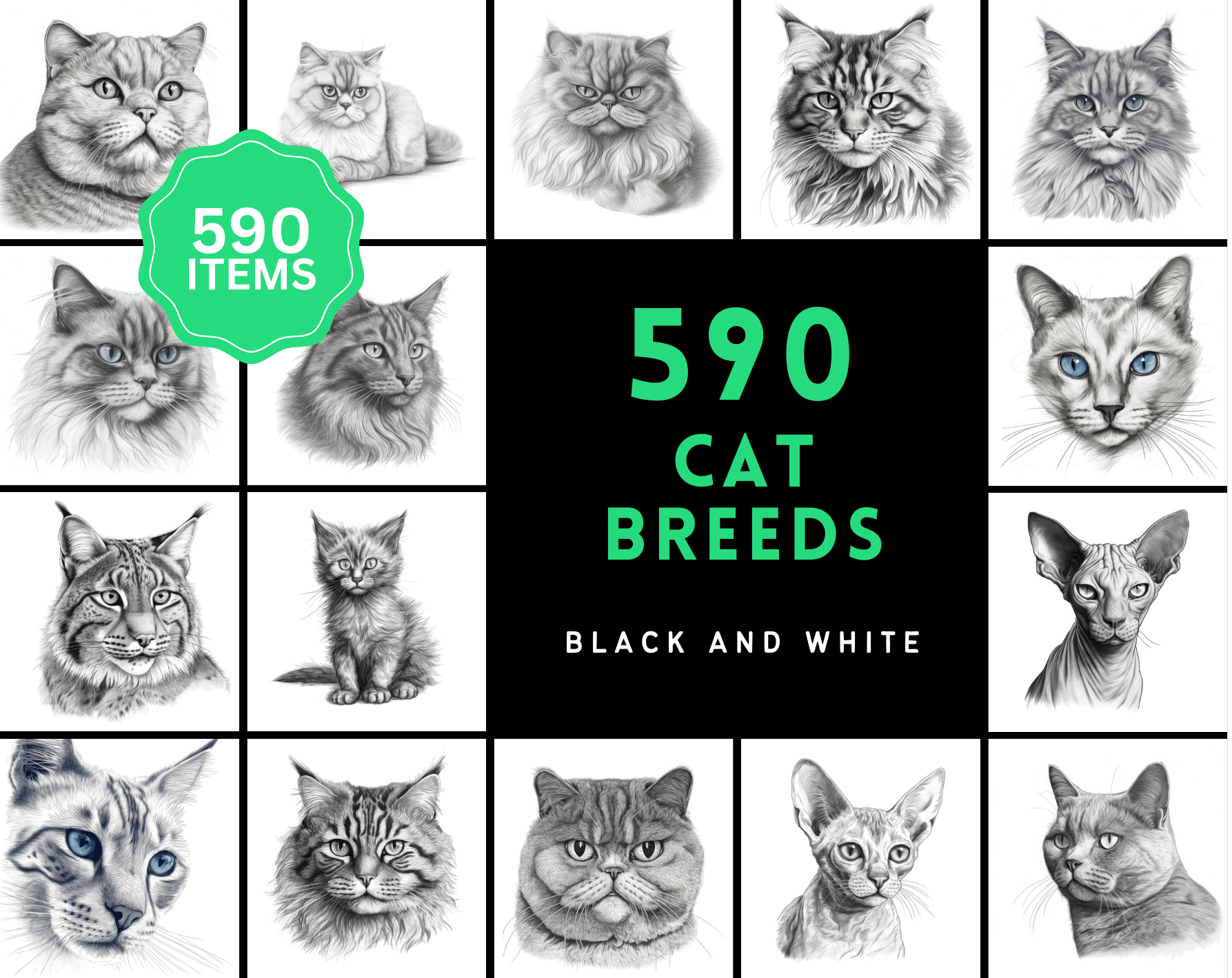 590 Sketch Cat Breed PNGs, Black & White Cat Images Digital Download Sumobundle