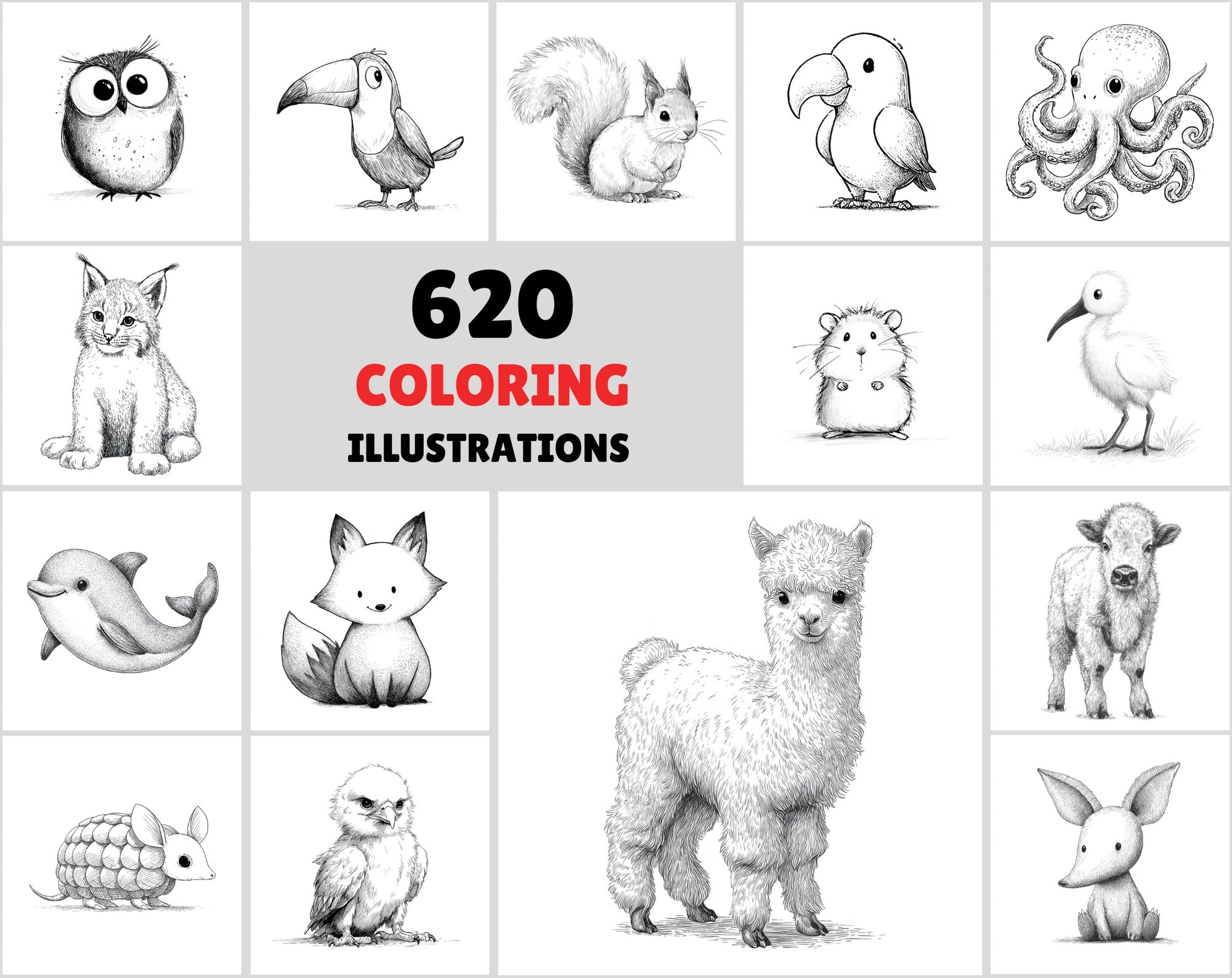 625 Children's Book Animal Illustrations — Black & White Line Art Bundle