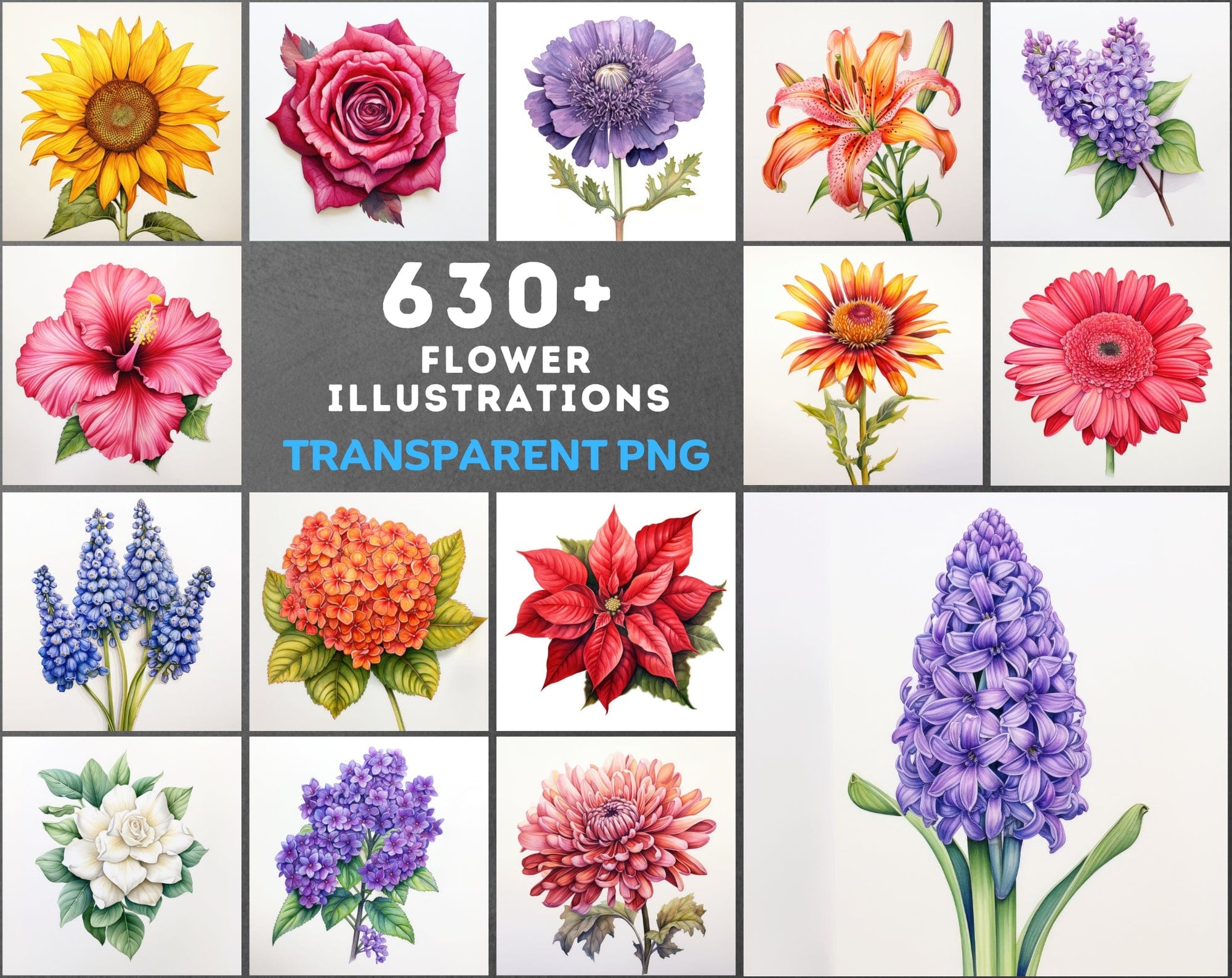 630 Flower PNG Images with Transparent Backgrounds & Commercial License Digital Download Sumobundle