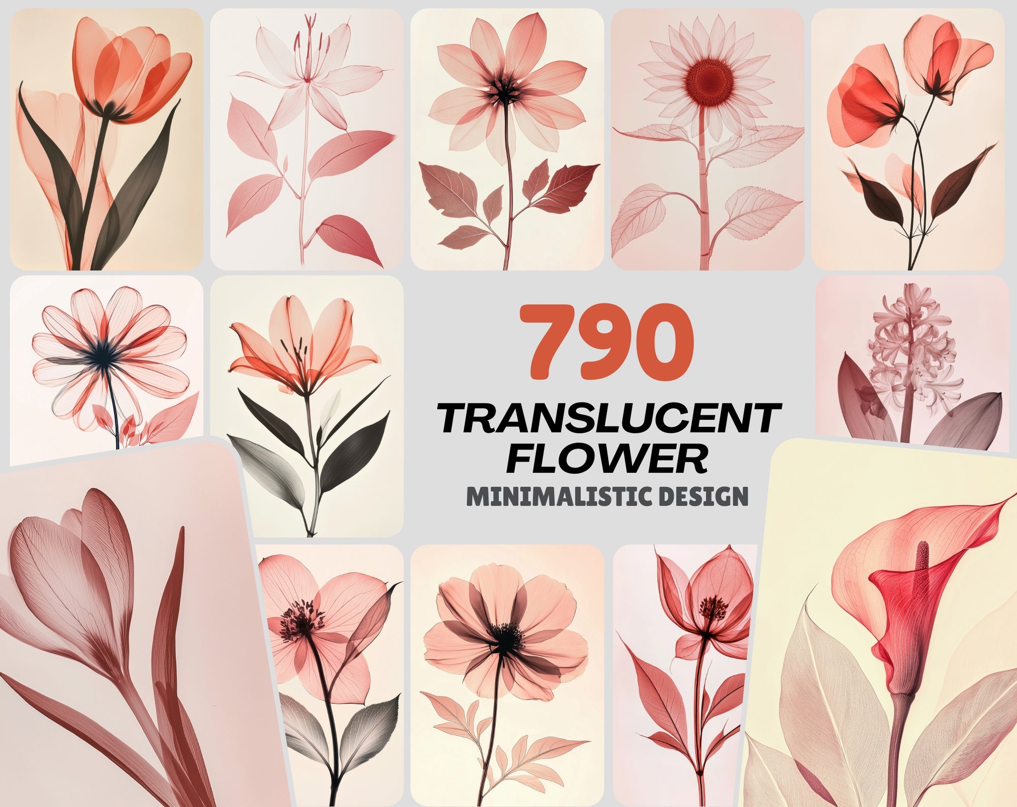 790 Translucent Flower with Minimalistic Design