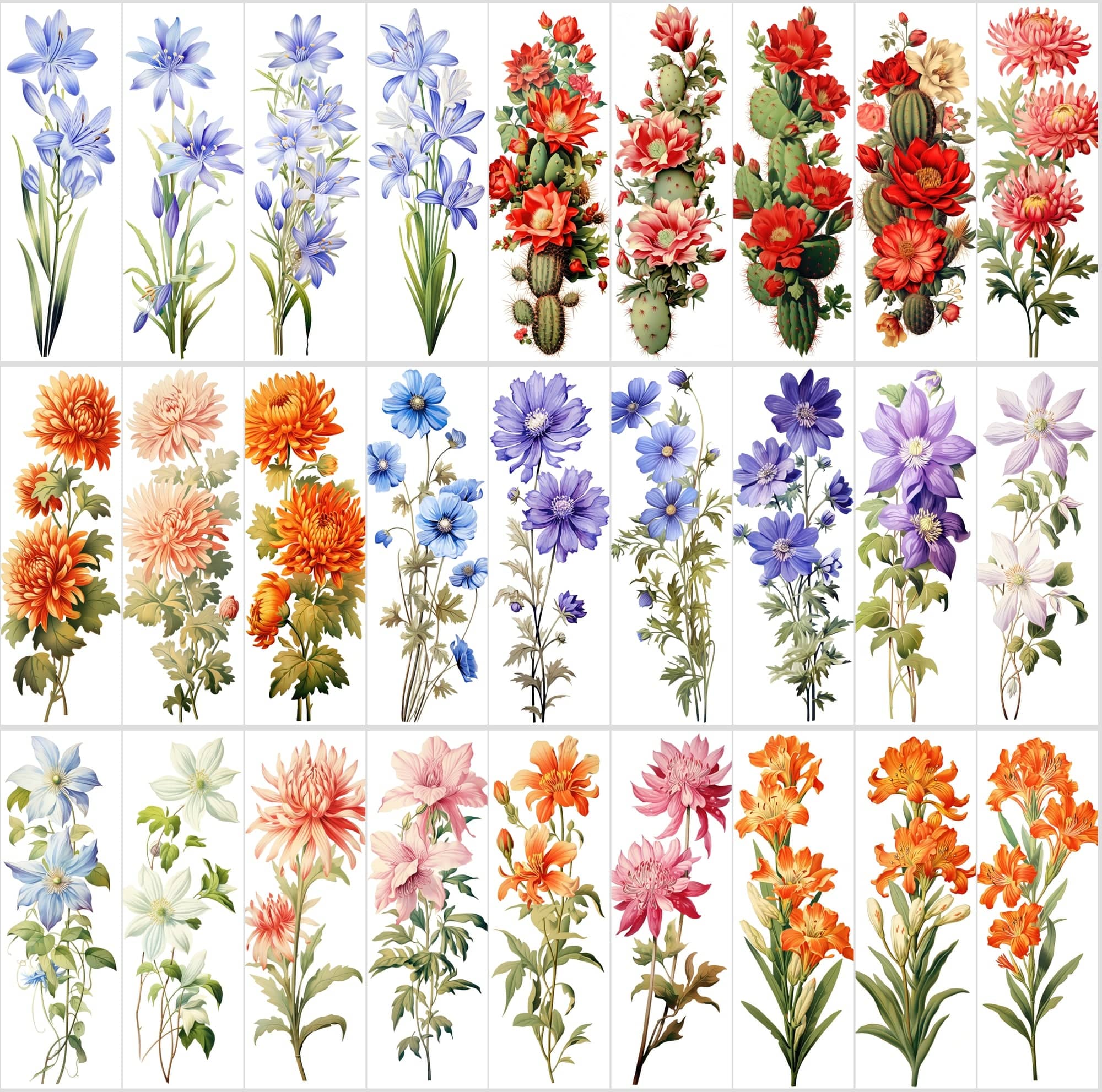 Captivating Vertical Flower Images Collection – High-Quality, Unique & Rare Digital Download Sumobundle