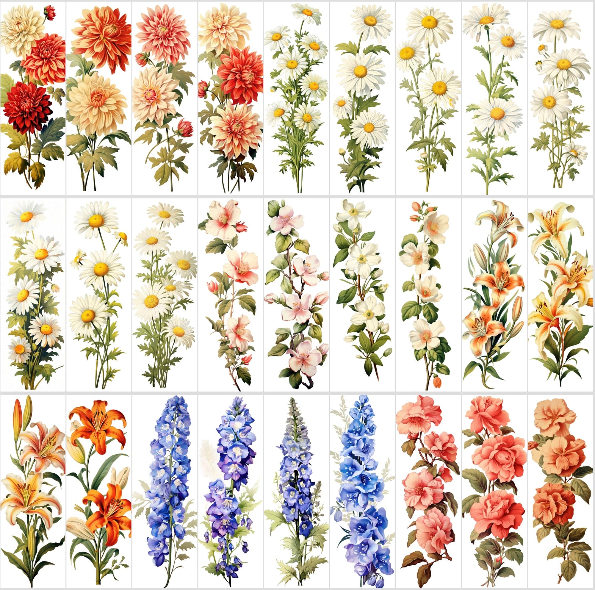 Captivating Vertical Flower Images Collection – High-Quality, Unique & Rare Digital Download Sumobundle