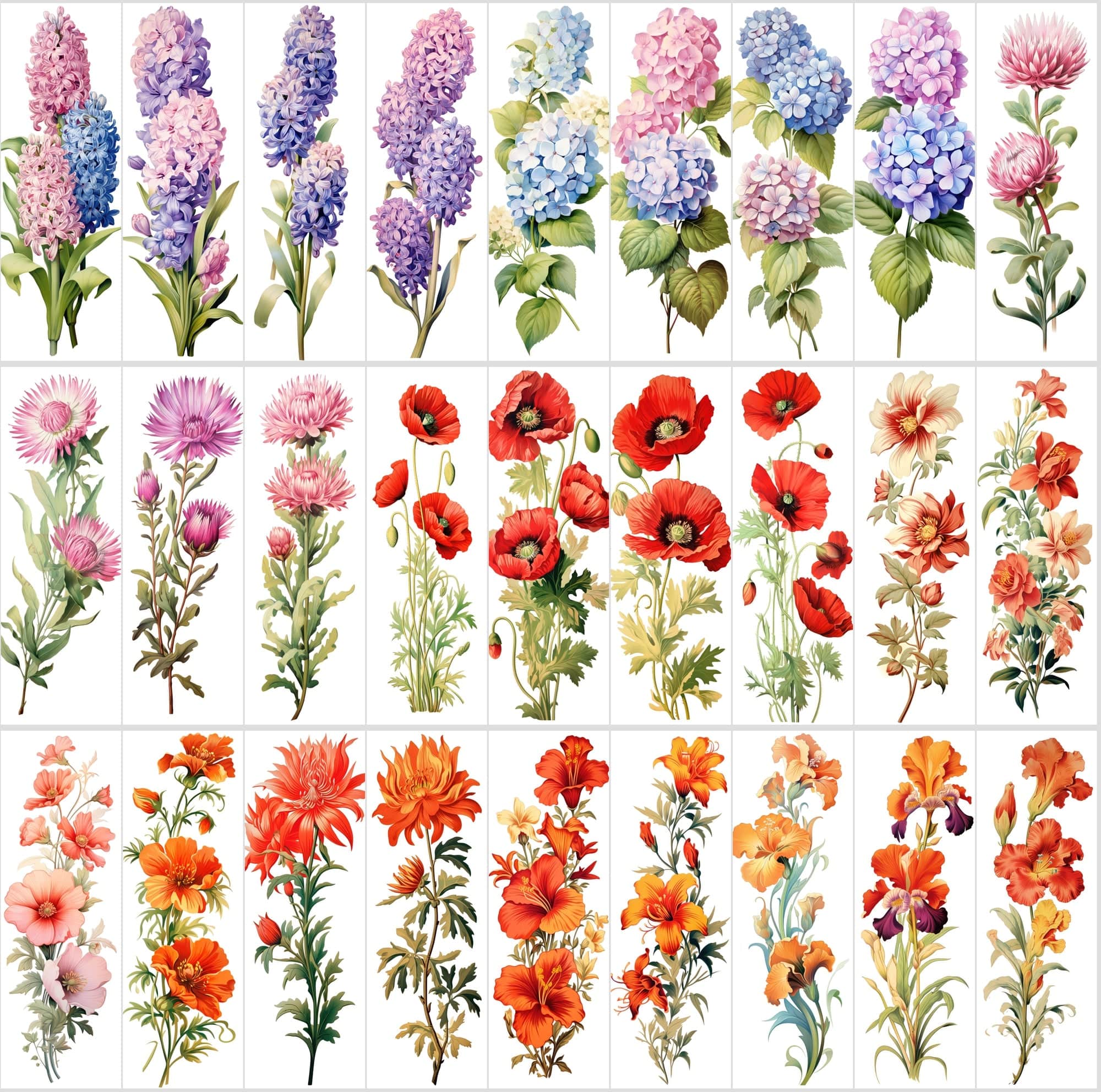 Captivating Vertical Flower Images Collection – High-Quality, Unique & Rare Digital Download Sumobundle