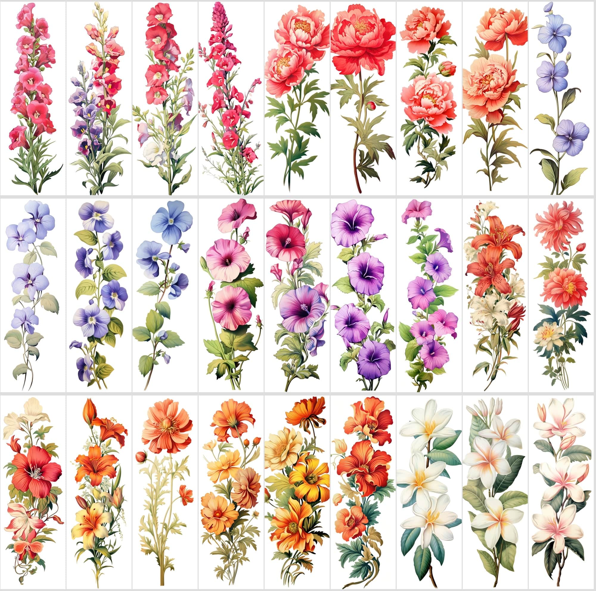 Captivating Vertical Flower Images Collection – High-Quality, Unique & Rare Digital Download Sumobundle