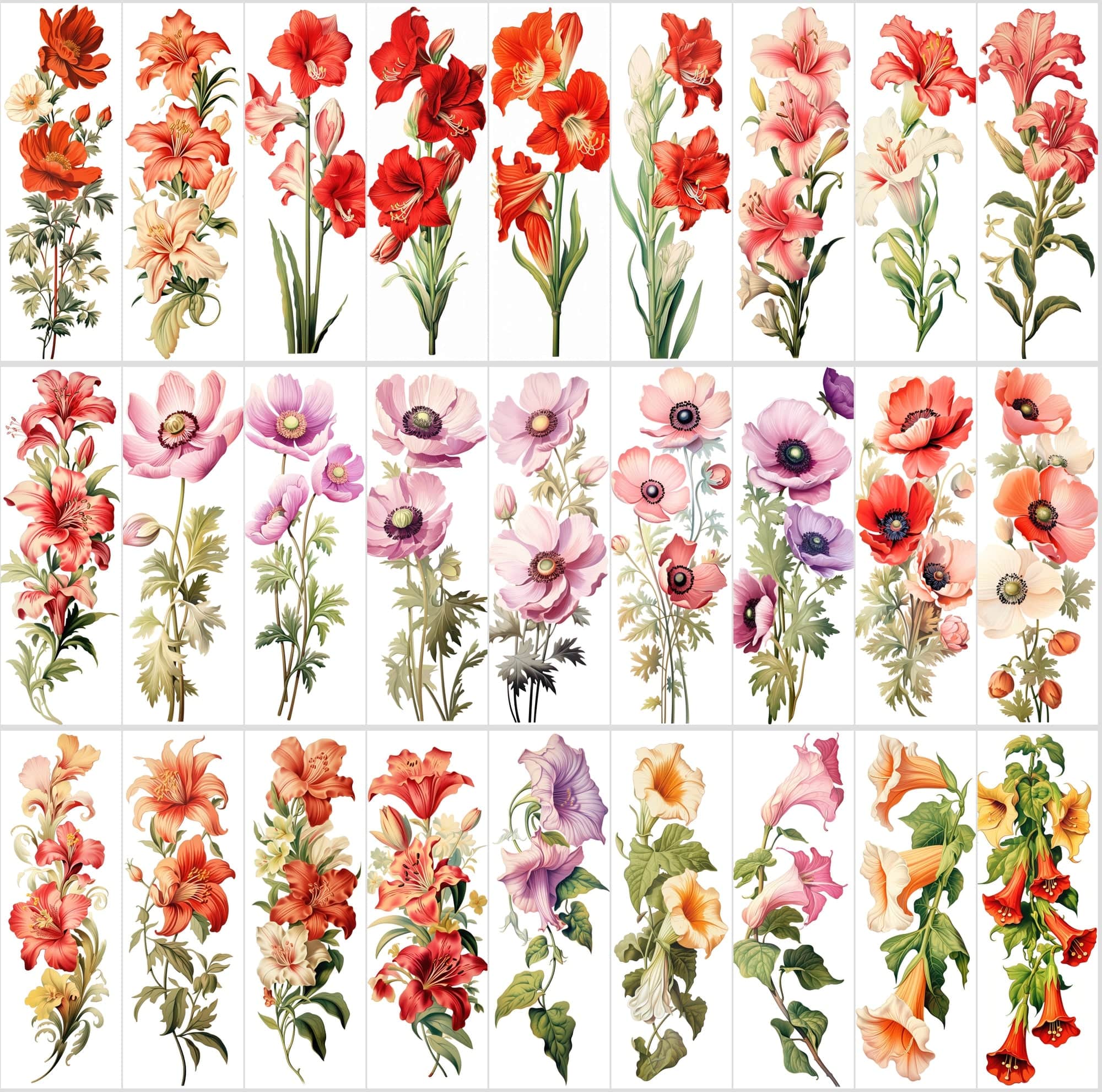 Captivating Vertical Flower Images Collection – High-Quality, Unique & Rare Digital Download Sumobundle