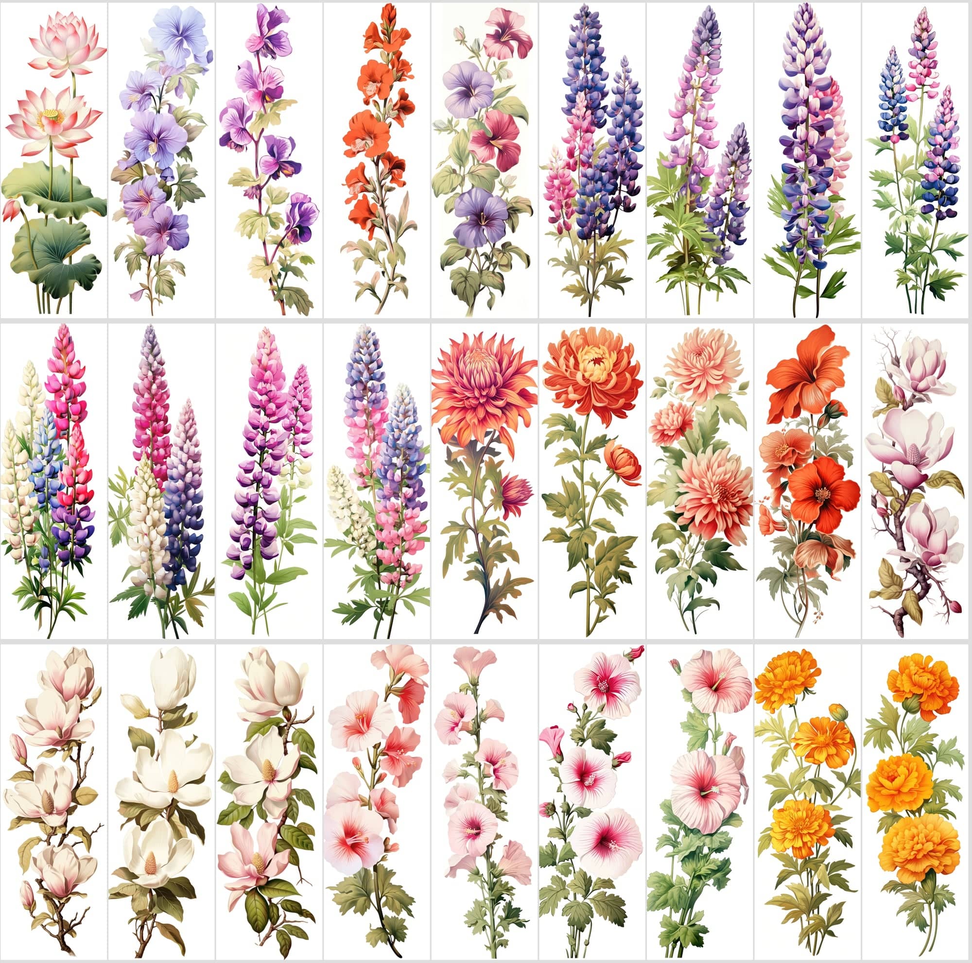 Captivating Vertical Flower Images Collection – High-Quality, Unique & Rare Digital Download Sumobundle