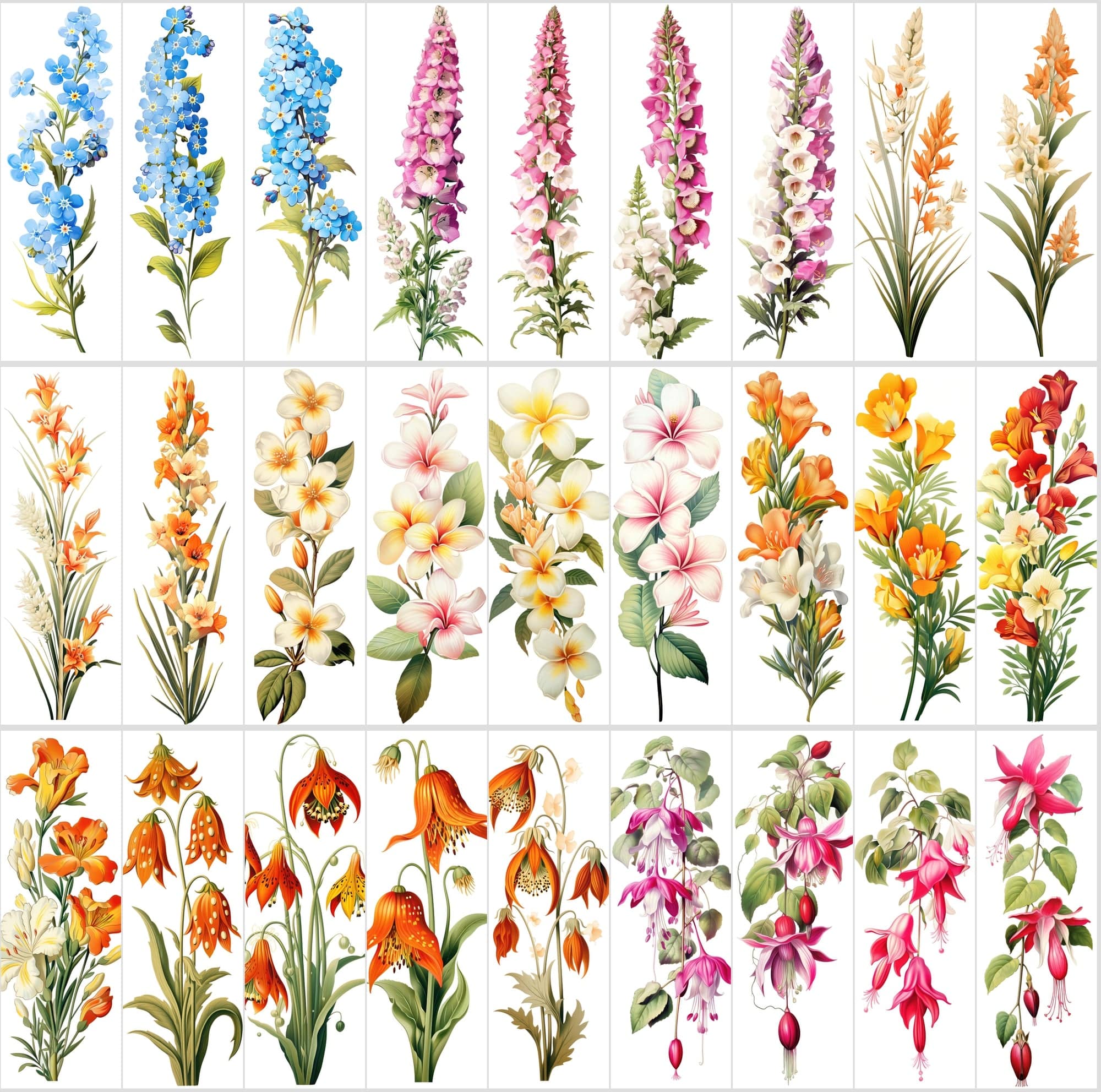 Captivating Vertical Flower Images Collection – High-Quality, Unique & Rare Digital Download Sumobundle