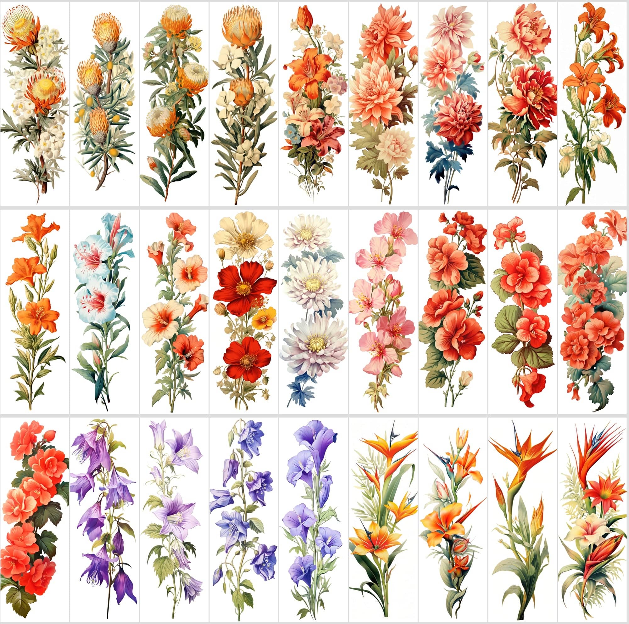 Captivating Vertical Flower Images Collection – High-Quality, Unique & Rare Digital Download Sumobundle