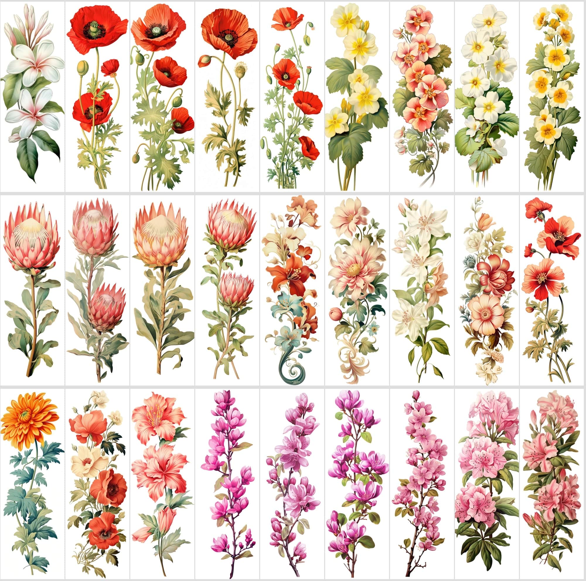 Captivating Vertical Flower Images Collection – High-Quality, Unique & Rare Digital Download Sumobundle