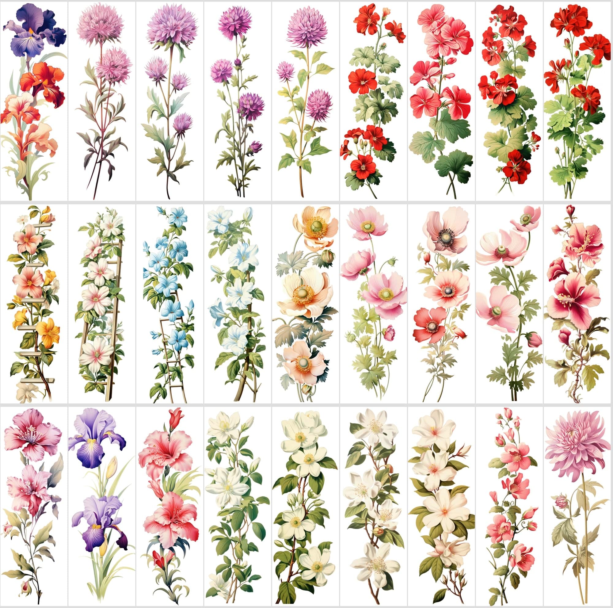 Captivating Vertical Flower Images Collection – High-Quality, Unique & Rare Digital Download Sumobundle