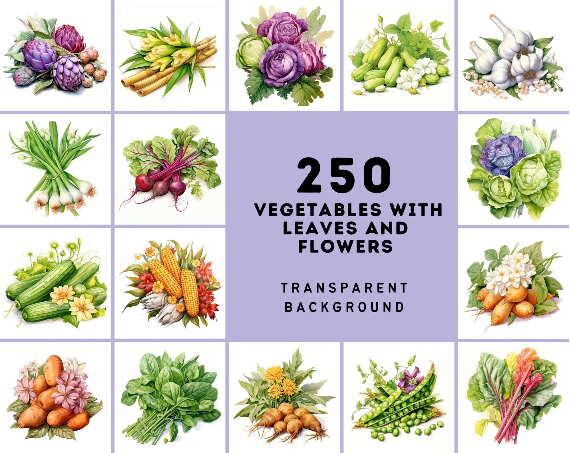 Colorful Vegetable Images with Flowers & Leaves - High Resolution PNG Files with Commercial License Digital Download Sumobundle