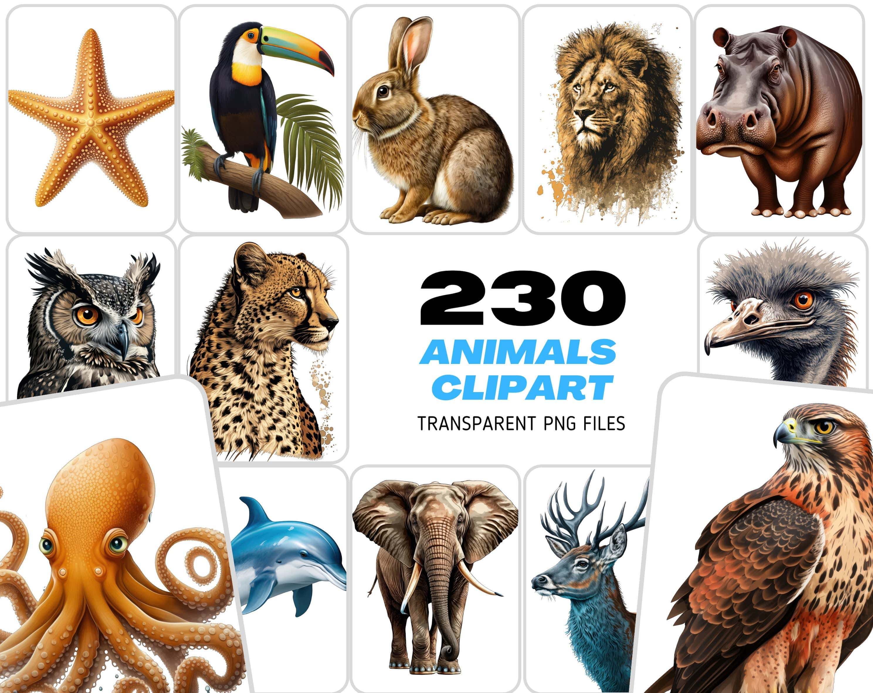 Make your designs come alive with our transparent animal set of 230 wildlife graphics, including jungle creature animals, Commercial use Digital Download Sumobundle