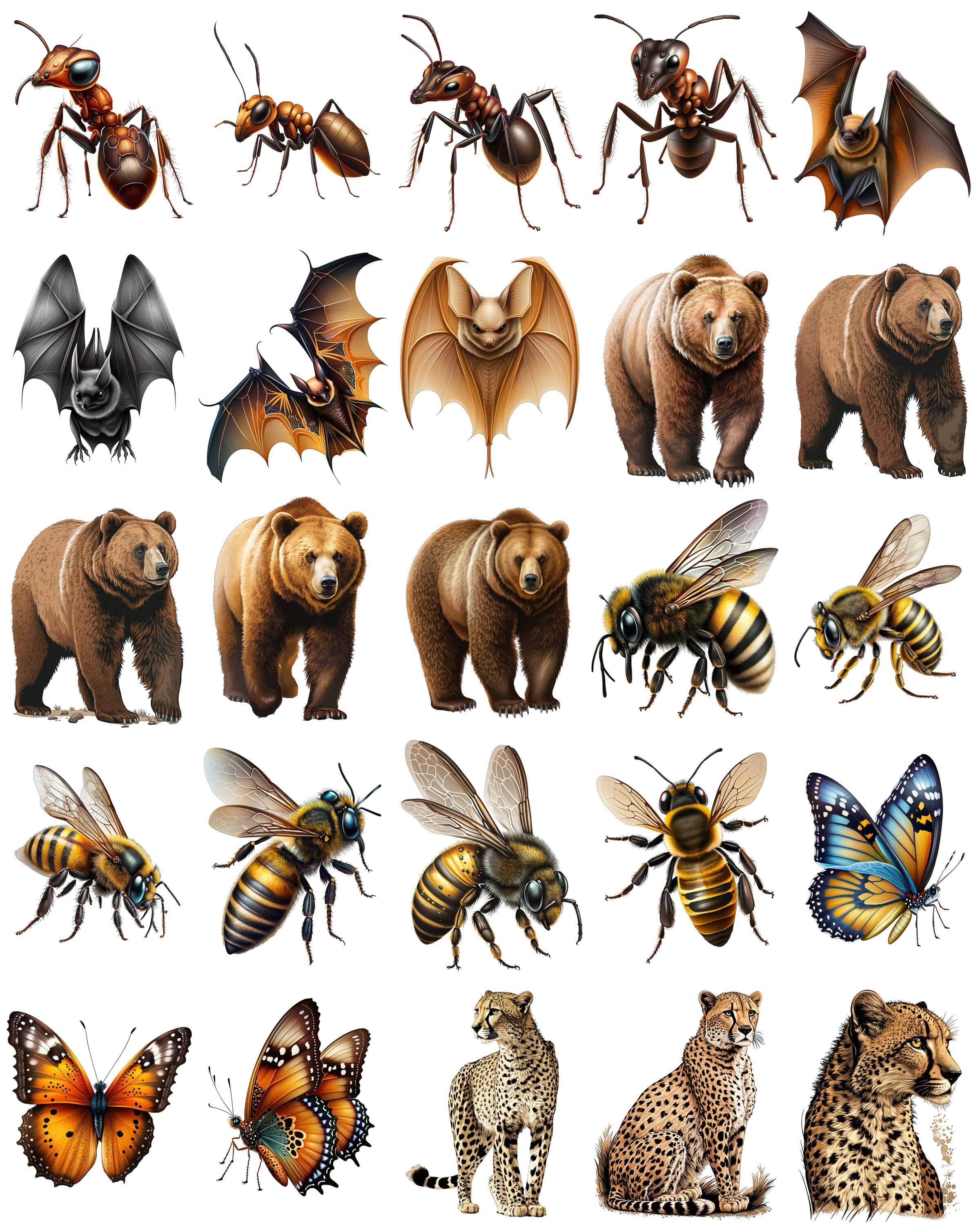 Make your designs come alive with our transparent animal set of 230 wildlife graphics, including jungle creature animals, Commercial use Digital Download Sumobundle