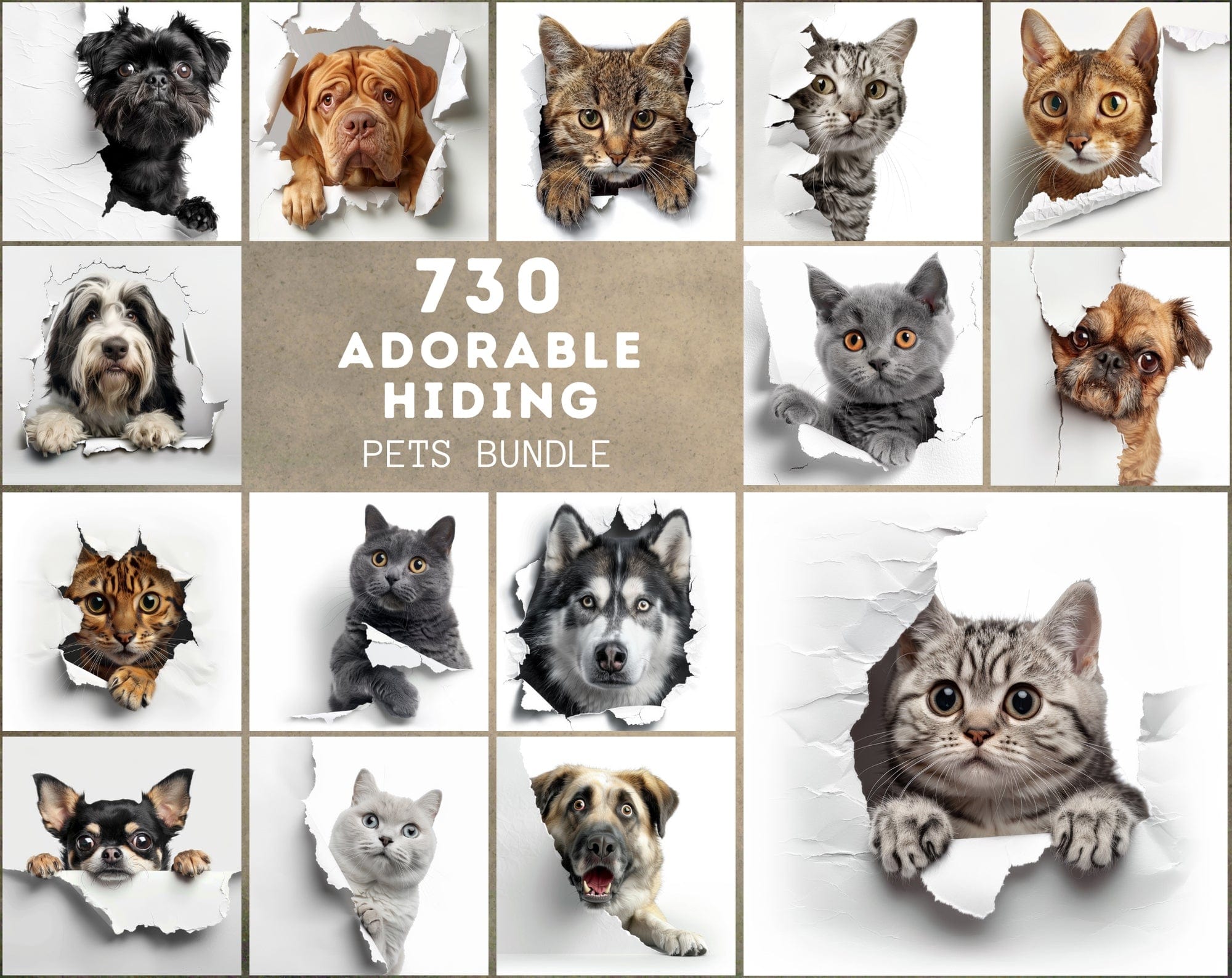 Peekaboo Pets Collection: 730 Adorable Cats & Dogs Hiding Images Digital Download Sumobundle