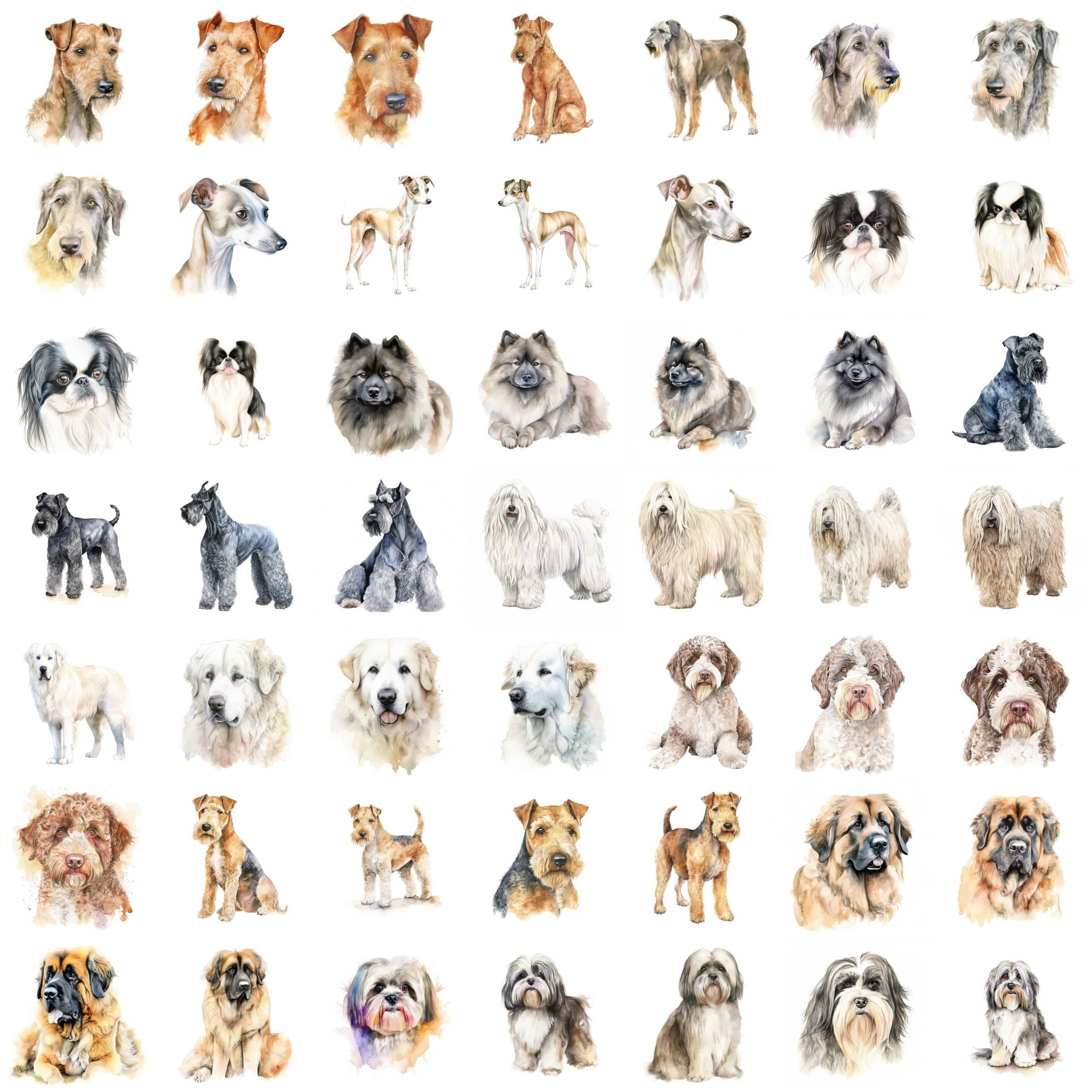 Ultimate Dog Breed Bundle: 750 High-Quality Transparent PNG Watercolor Dog Images – Perfect for Crafting, Digital Art, and Design Projects Digital Download Sumobundle