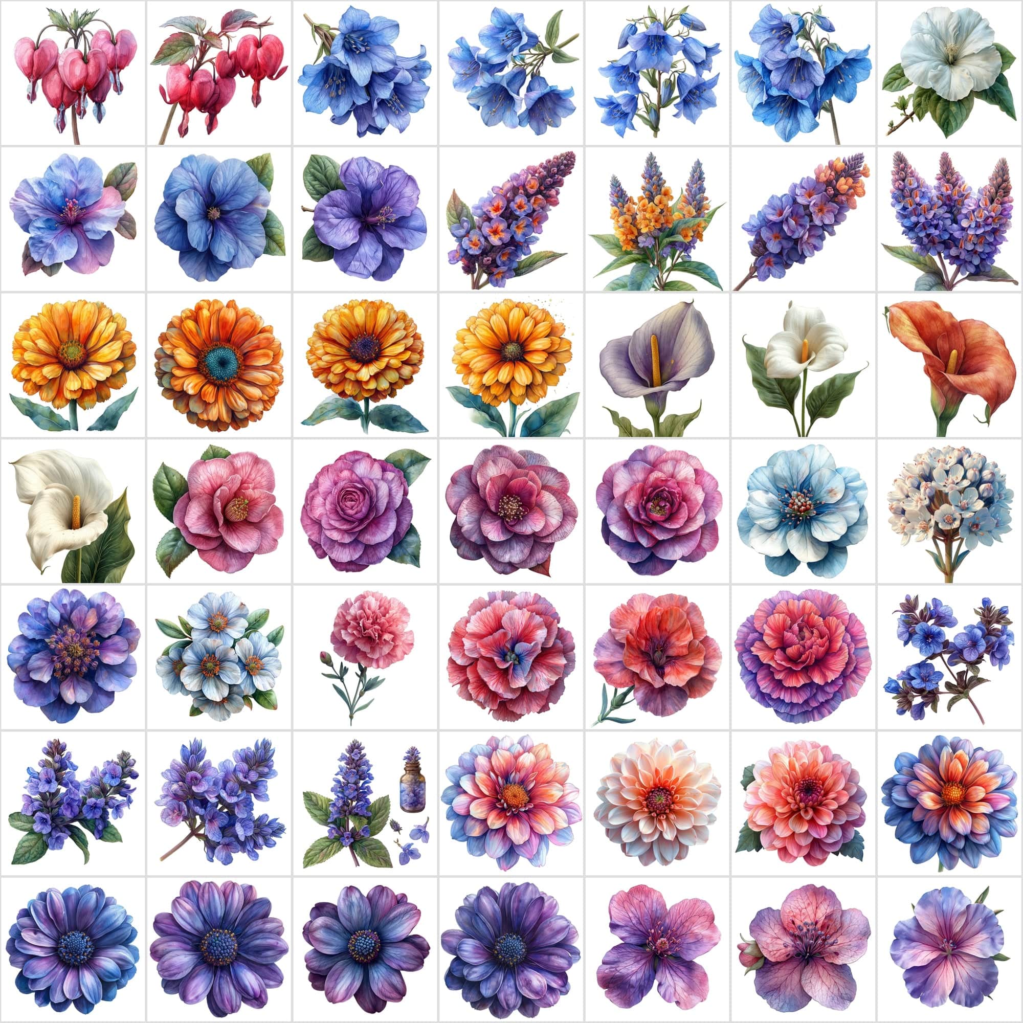 Watercolor Flower PNG Images Bundle - 570 Top View Floral Designs with Transparent & White Background Digital Download Sumobundle