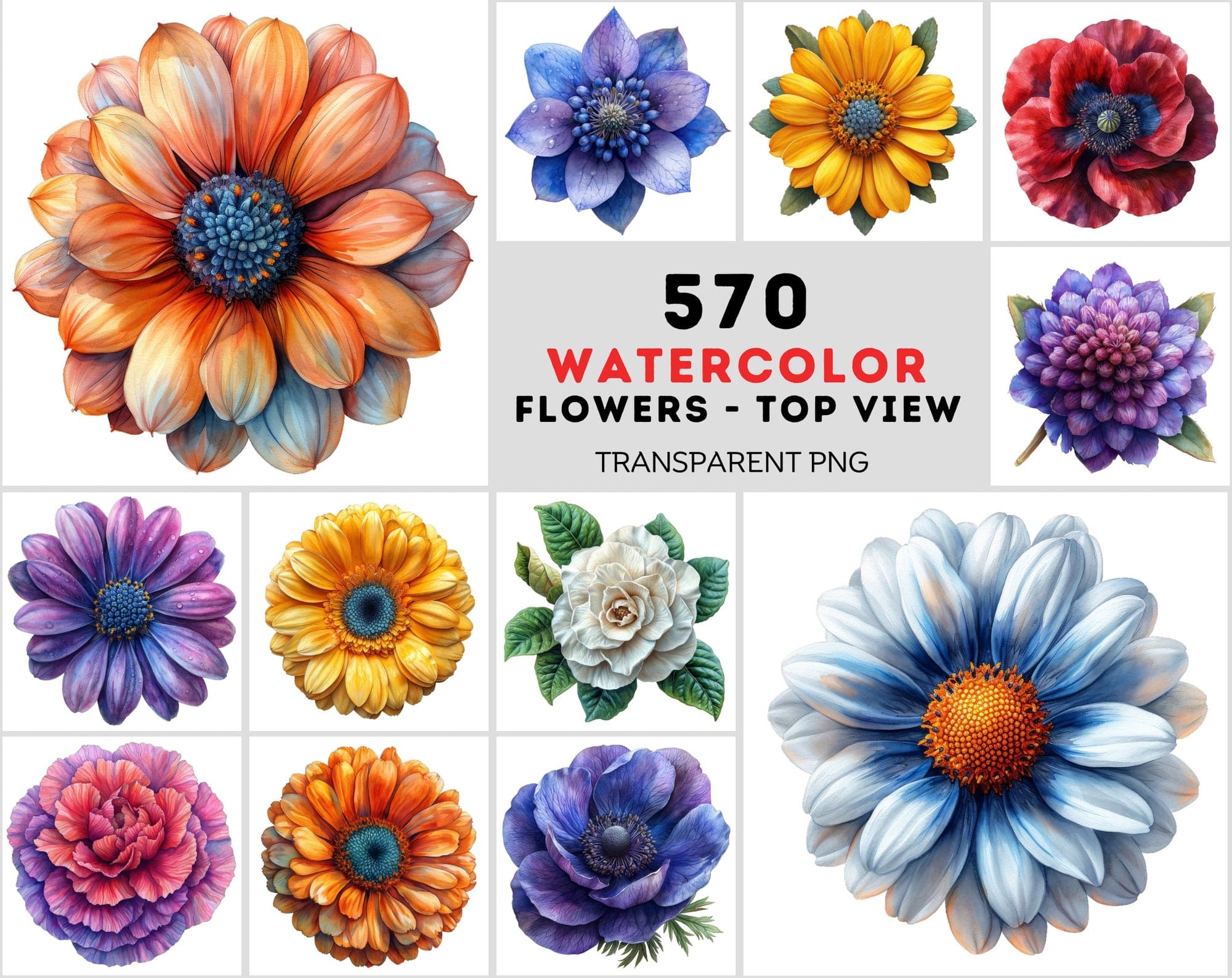Watercolor Flower PNG Images Bundle - 570 Top View Floral Designs with Transparent & White Background Digital Download Sumobundle
