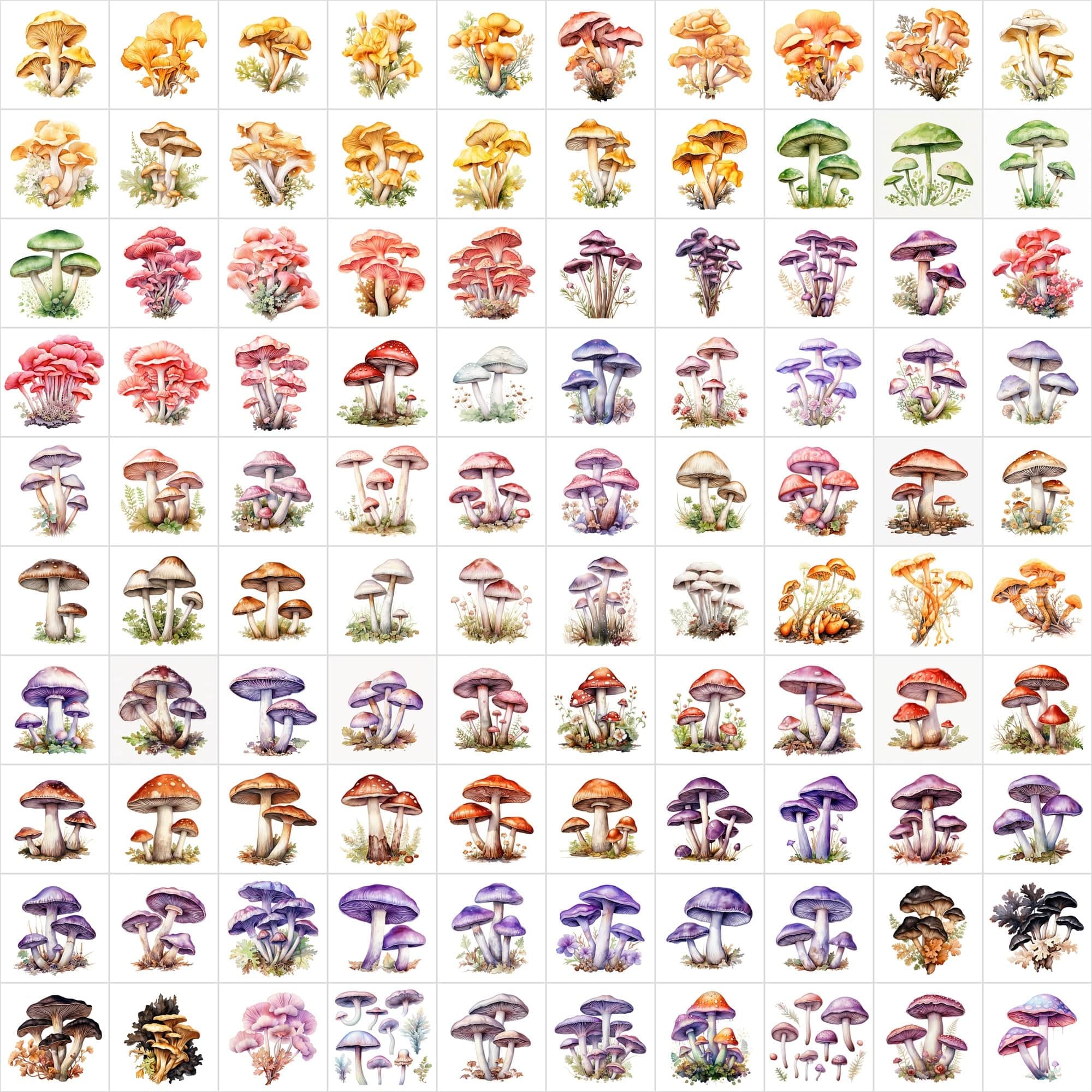 Watercolor Mushroom PNG Collection - 1170 Versatile Images with Commercial License, Transparent & White Backgrounds Digital Download Sumobundle
