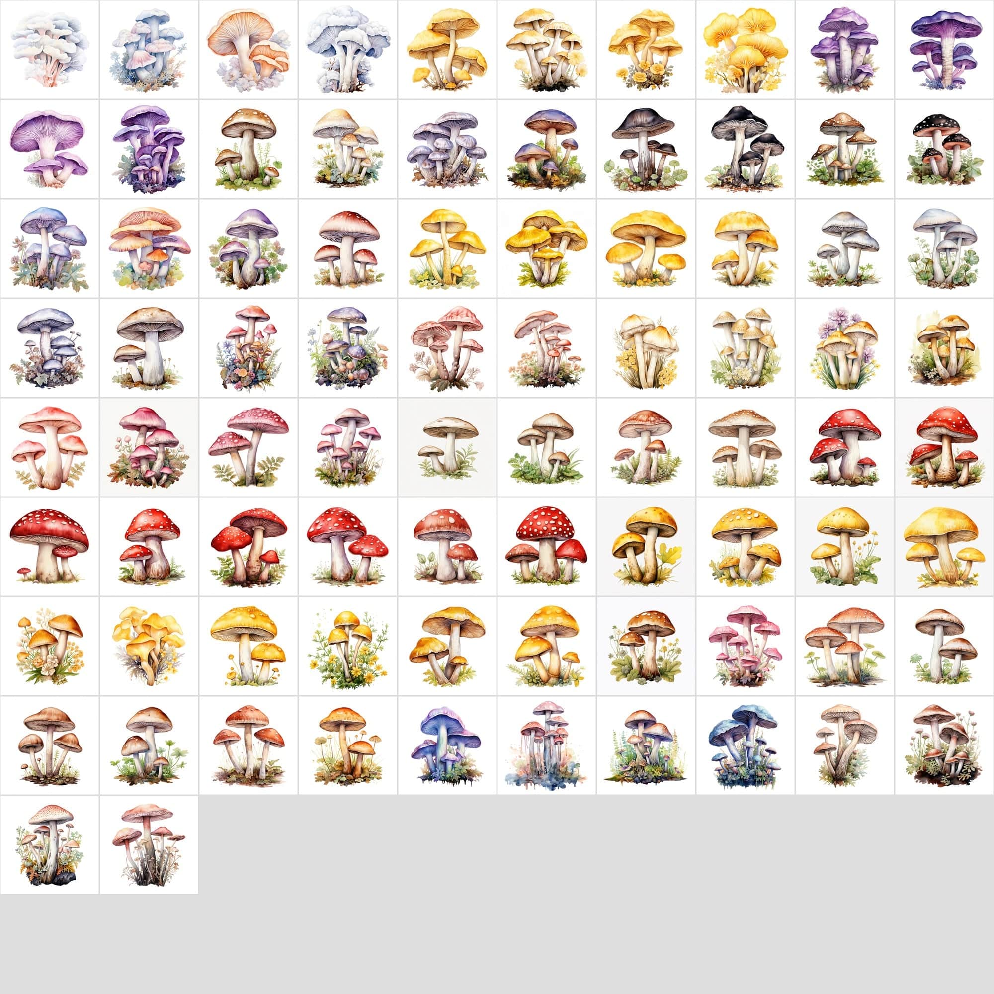 Watercolor Mushroom PNG Collection - 1170 Versatile Images with Commercial License, Transparent & White Backgrounds Digital Download Sumobundle