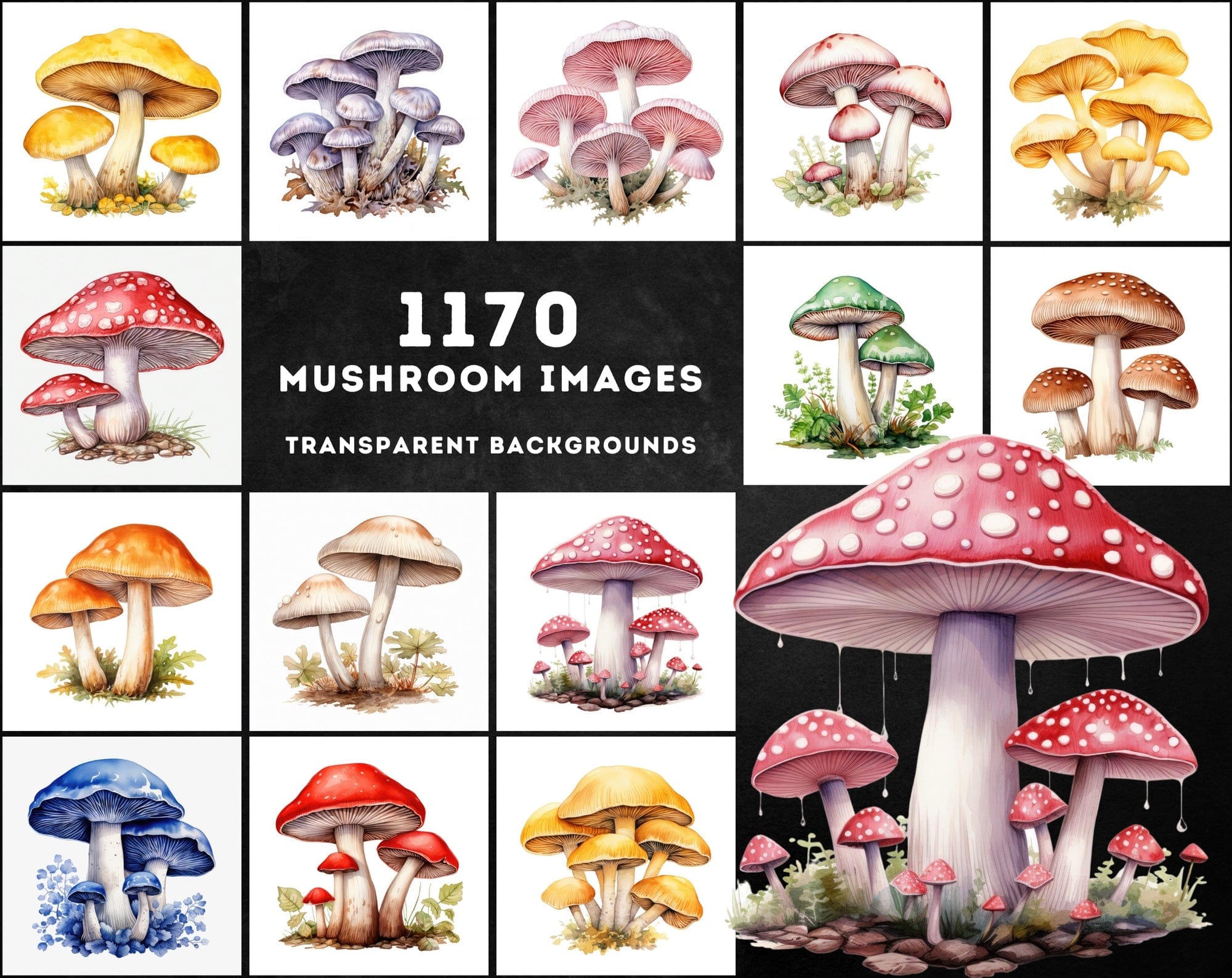 Watercolor Mushroom PNG Collection - 1170 Versatile Images with Commercial License, Transparent & White Backgrounds Digital Download Sumobundle