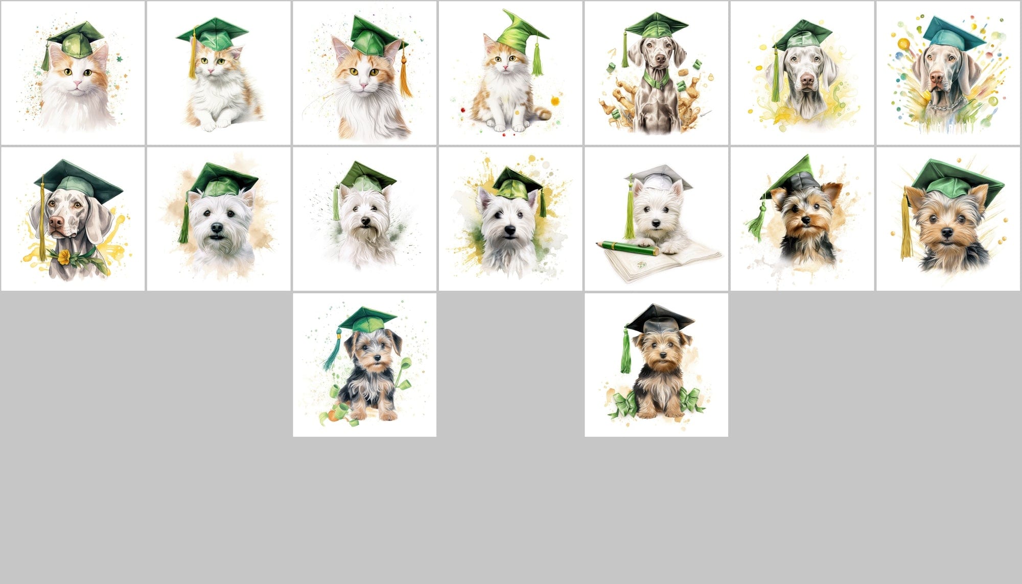 Watercolour Graduation Dogs and Cats Illustrations Digital Download Sumobundle