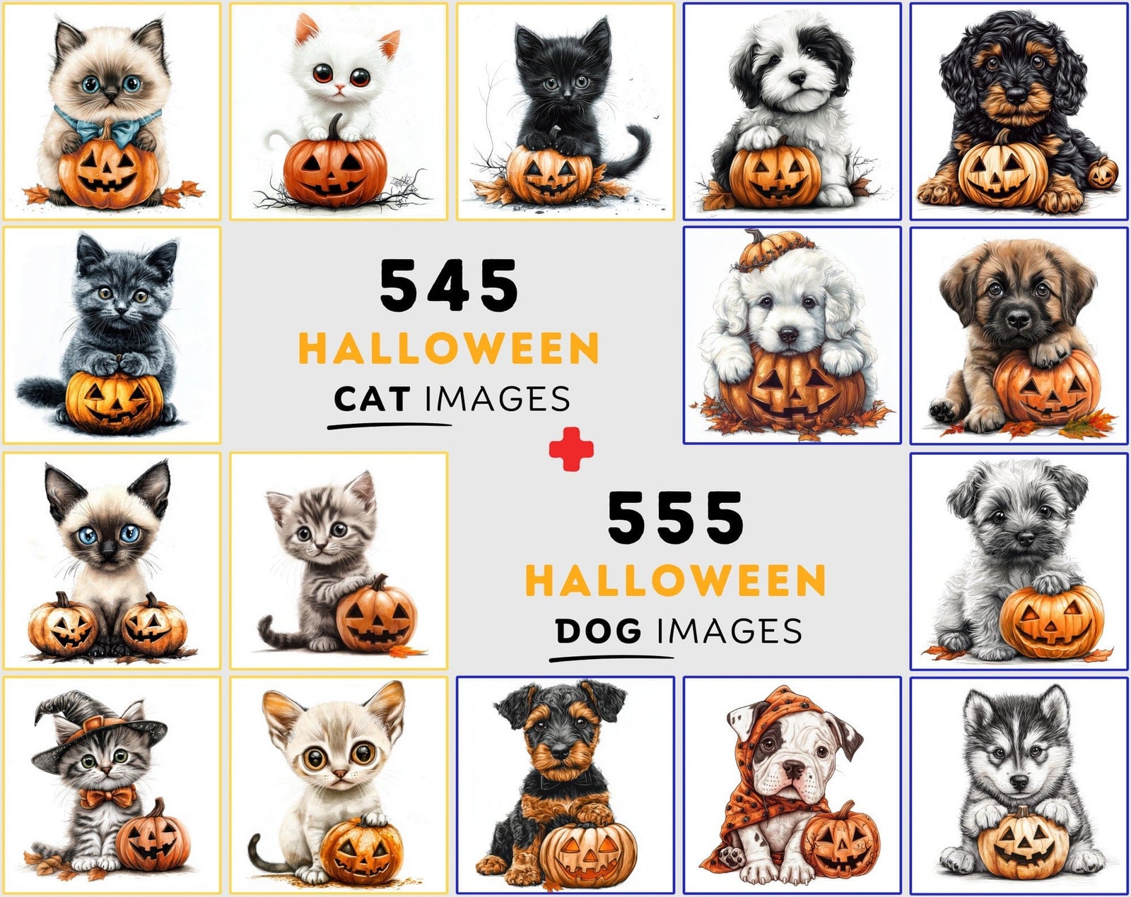 Halloween Pet Images