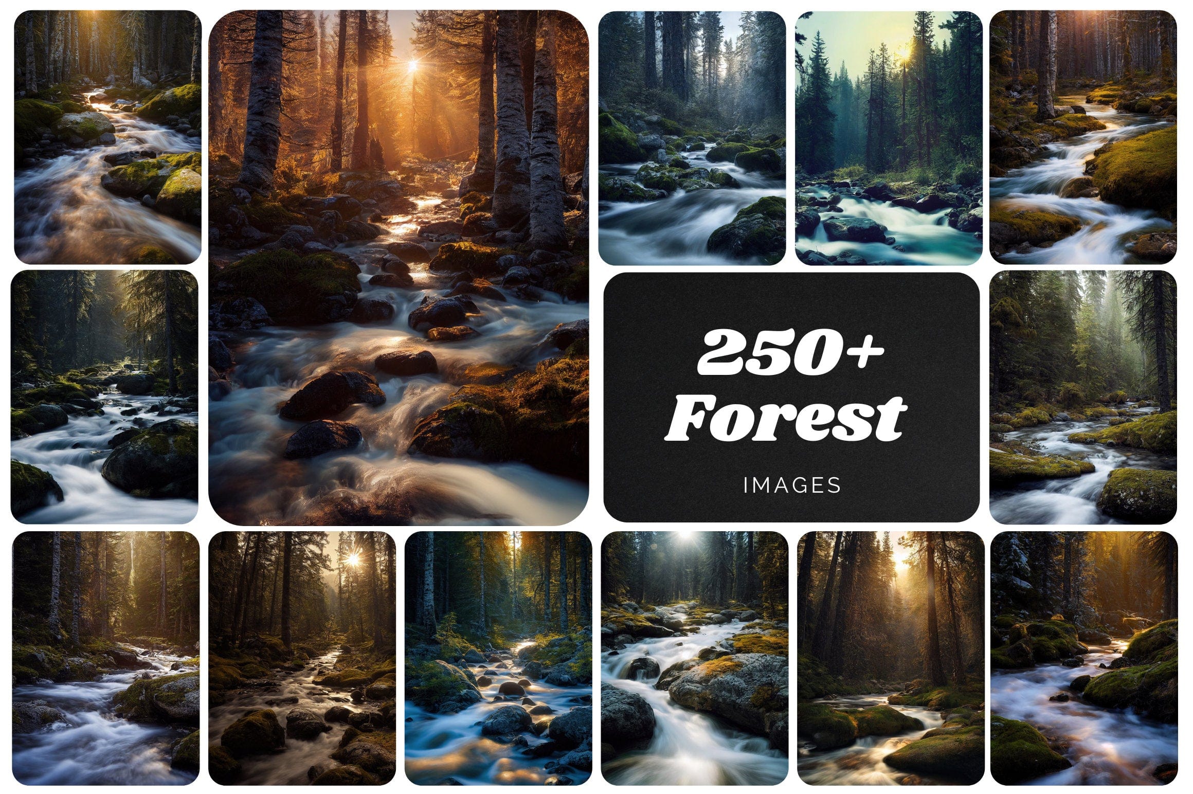 255 Vibrant Forest and Nature Images - Perfect for Home Decor, Photography, and Printables - A Spectacular Collection of Natural Landscapes Digital Download Sumobundle