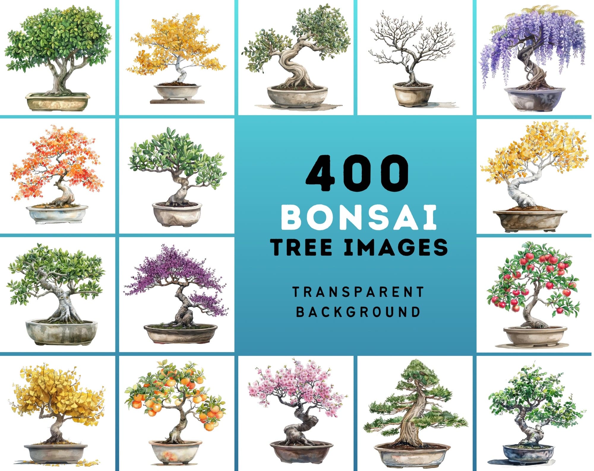 400 Bonsai Tree Images Bundle: High-Quality PNG & JPG, Commercial License - Oak, Cherry Blossom, Pine, Maple, and More Digital Download Sumobundle