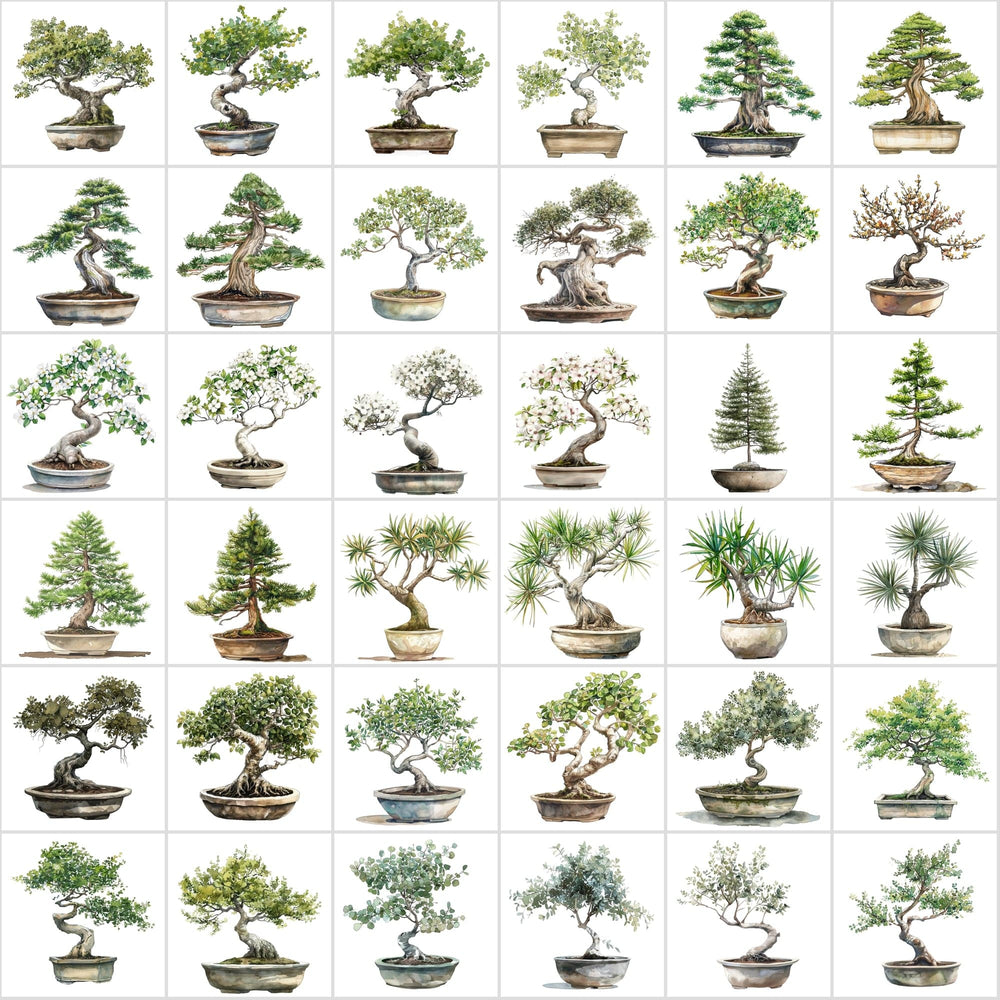 400 Bonsai Tree Images Bundle: High-Quality PNG & JPG, Commercial Lice