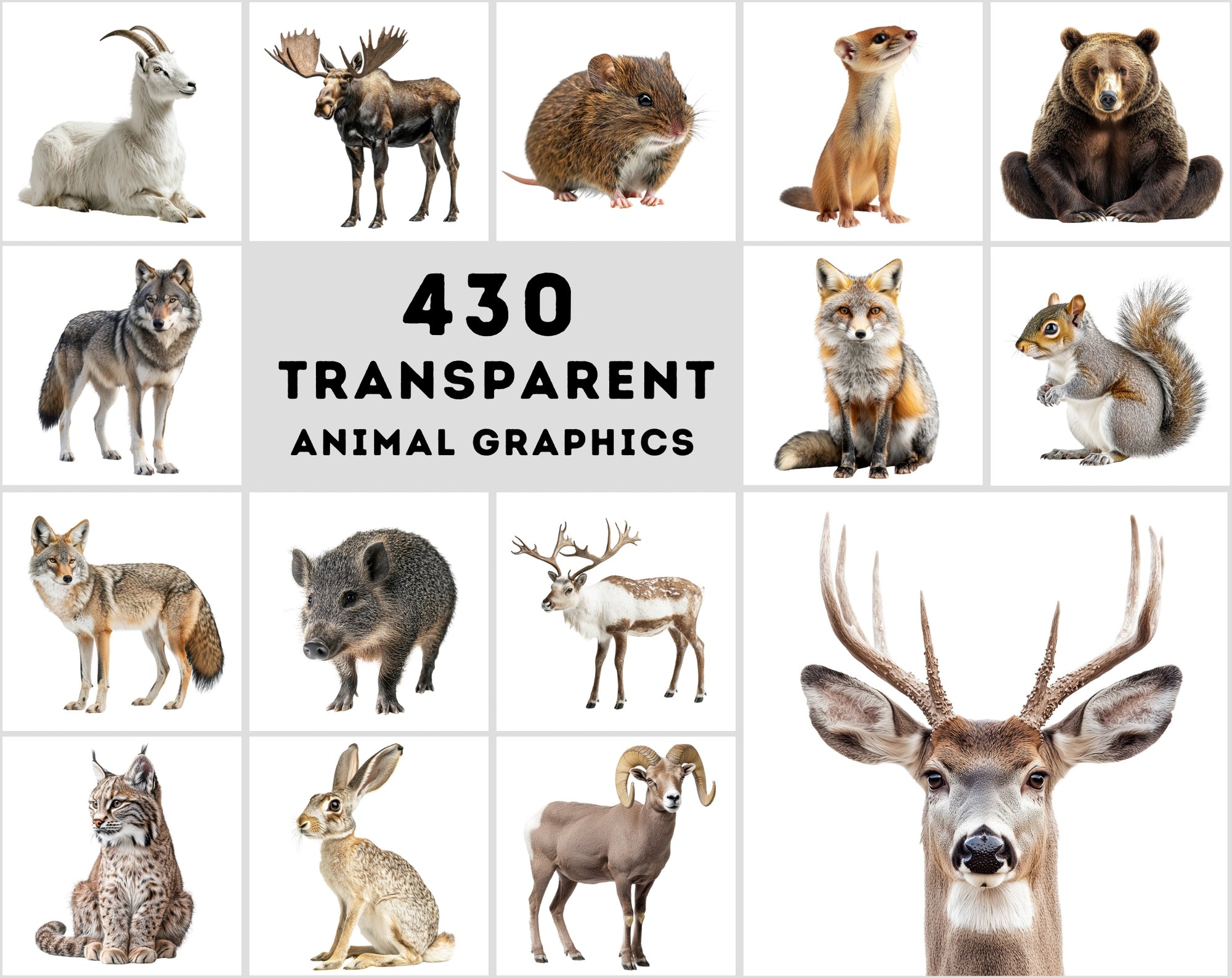 430 Animal PNG Images | Transparent & Isolated Background