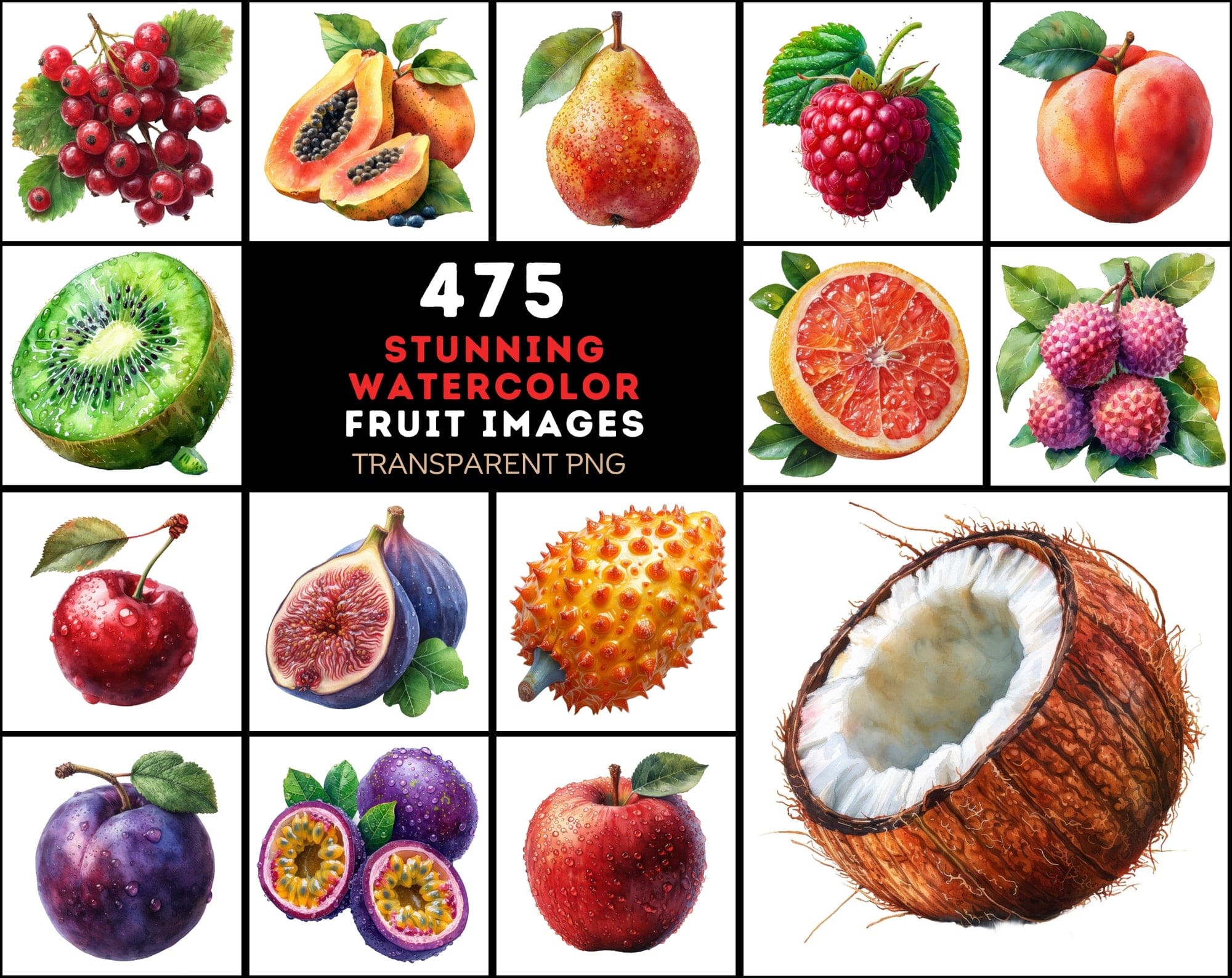 475 Watercolor Fruit Images, High-Quality PNG & JPG, Commercial License Digital Download Sumobundle