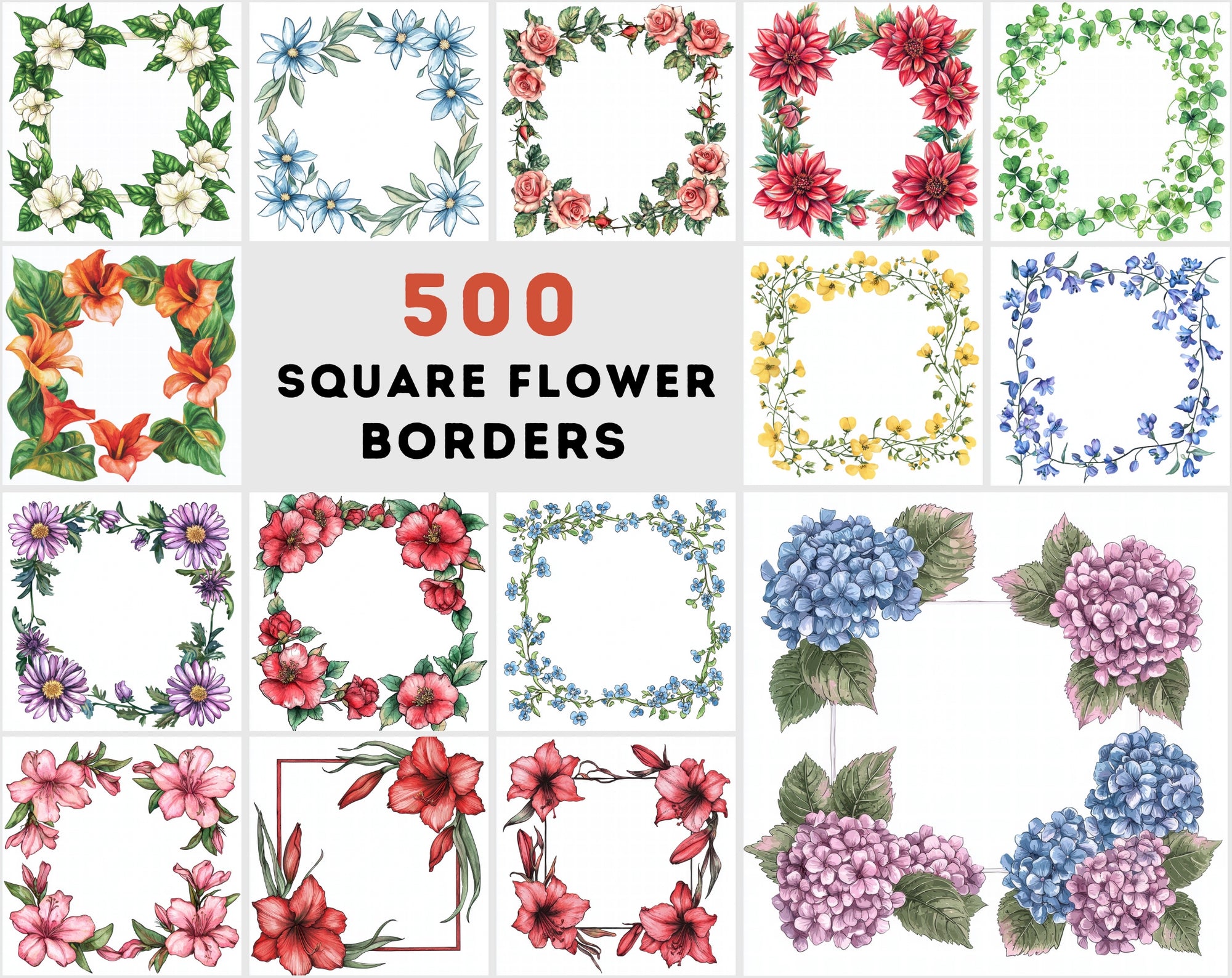 500 Floral Frame Images | Square Flower Borders | Commercial License